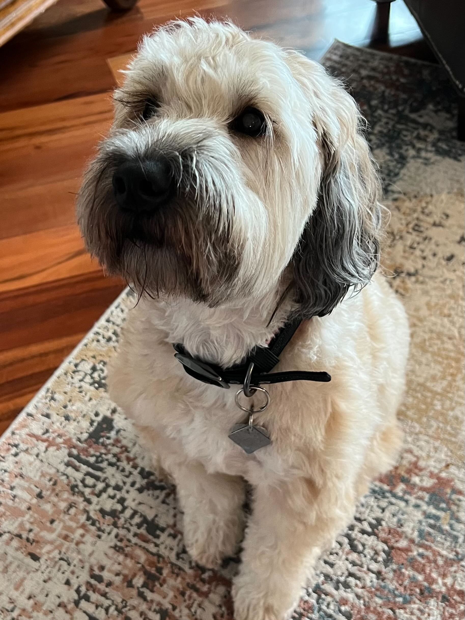 Champions of Training 12.23 2255.jpeg