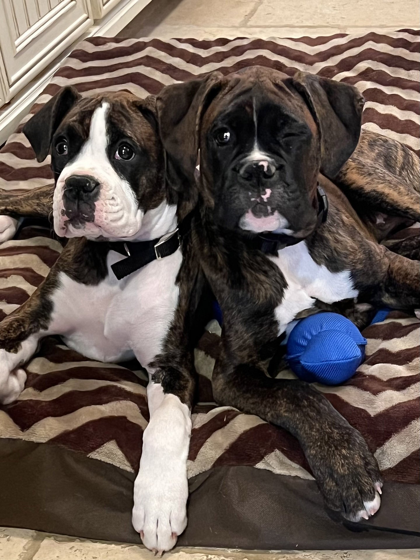 GD&B Homepage Slideshow 7 IMG_0887.jpeg