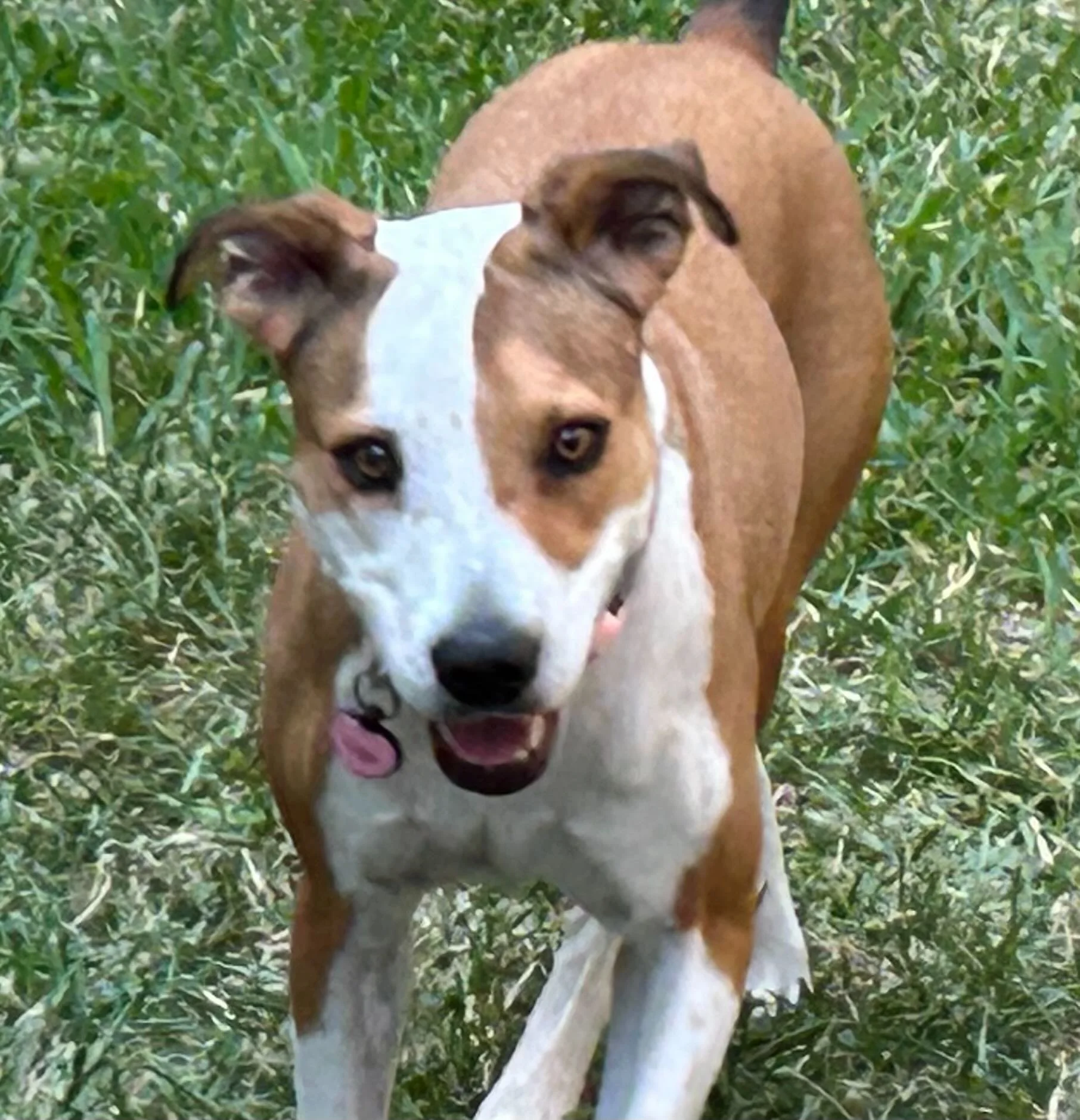 Champions of Training 12.23 5320.jpeg