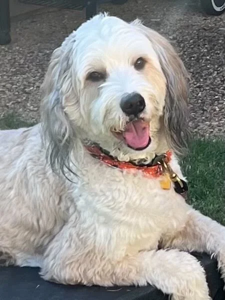 Champions of Training 12.23 2321.jpeg