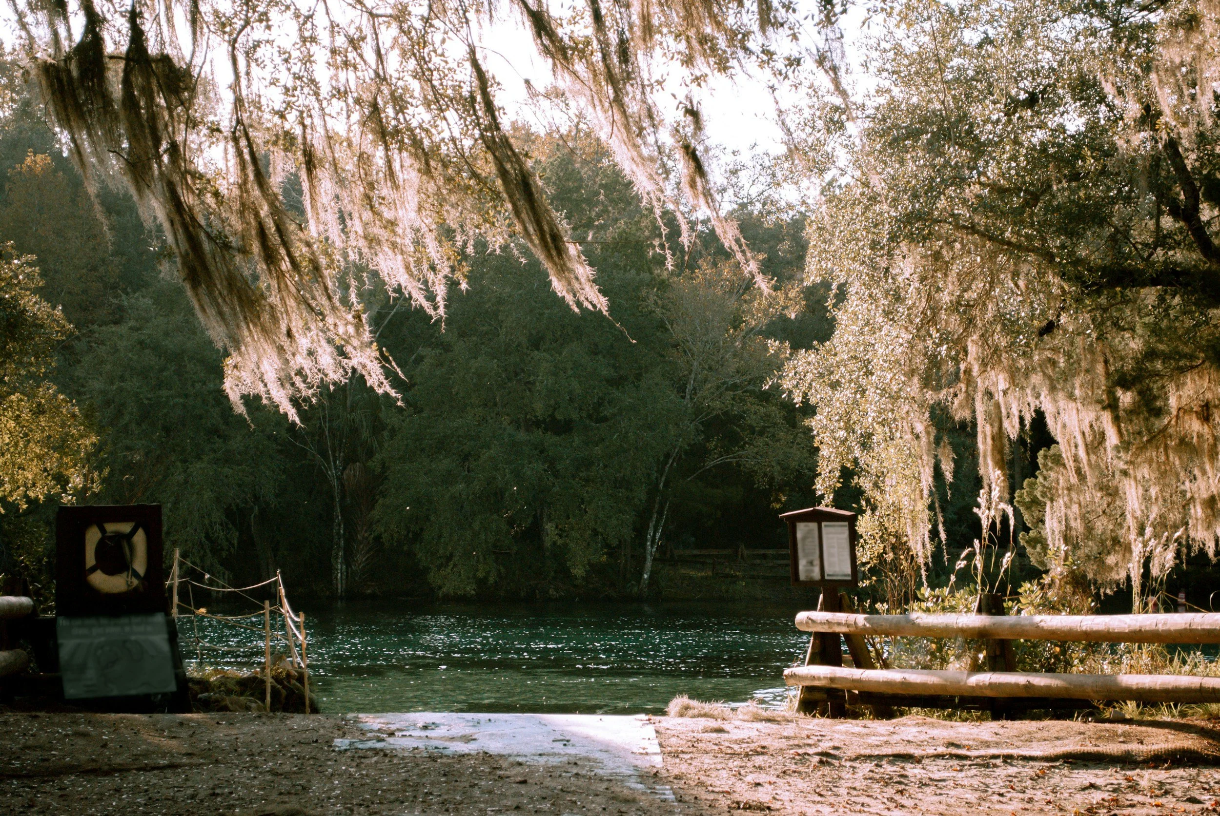 water and tree line