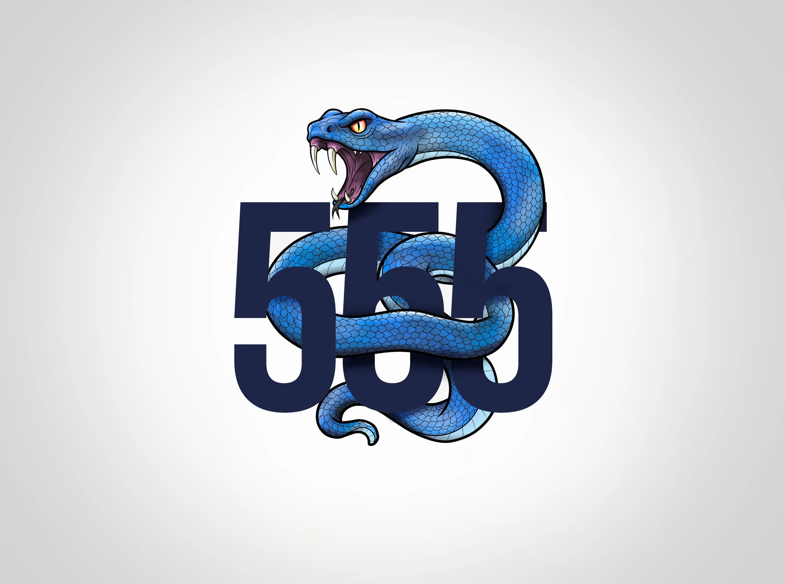555.jpg