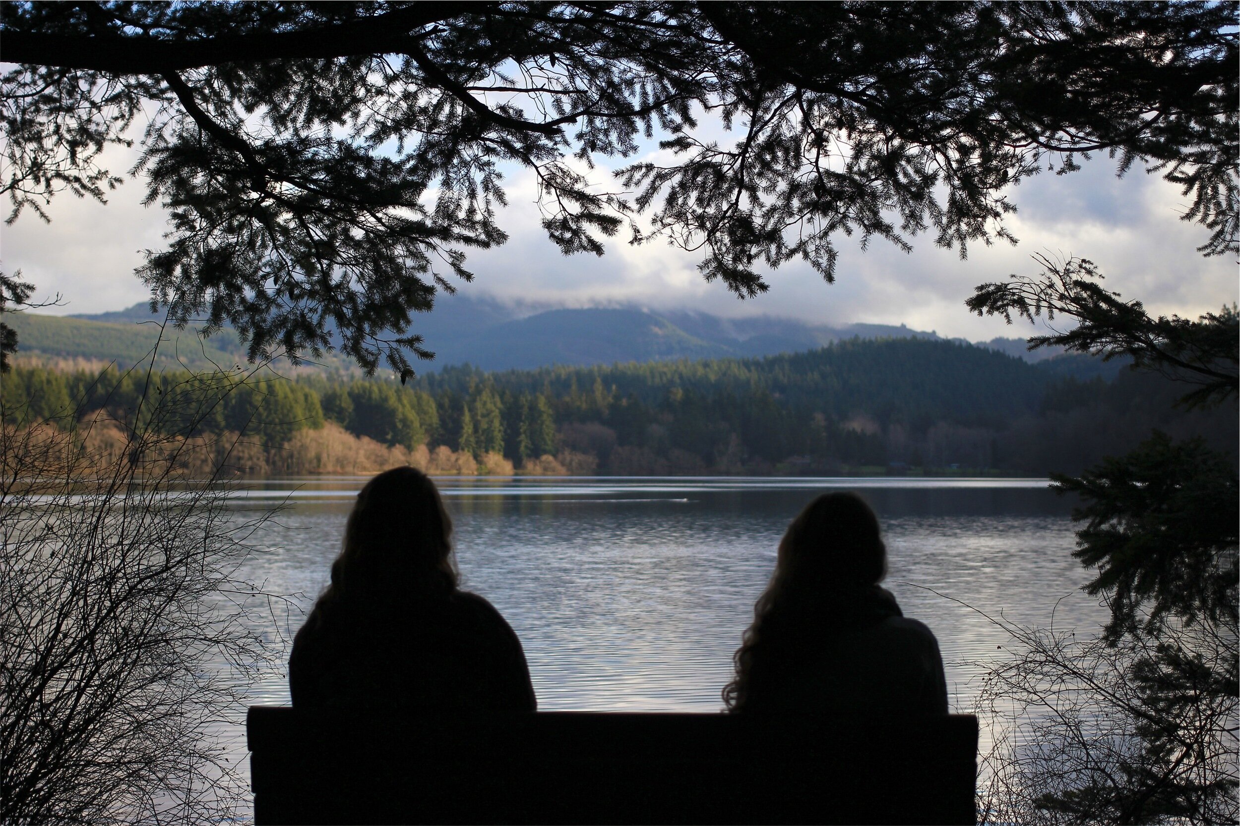 What's the difference between psychotherapy, counseling and therapy?