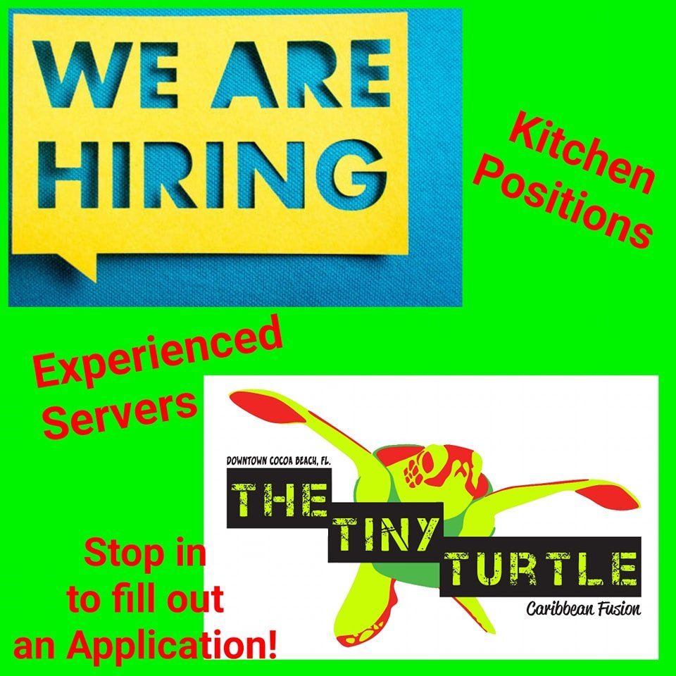 We are looking to add to our Tiny Turtle Team!  Please share!  Thanks!! 🐢💚😁 #thetinyturtle #servers #cooks #frontofhouse #backofhouse #employment #joinourteam