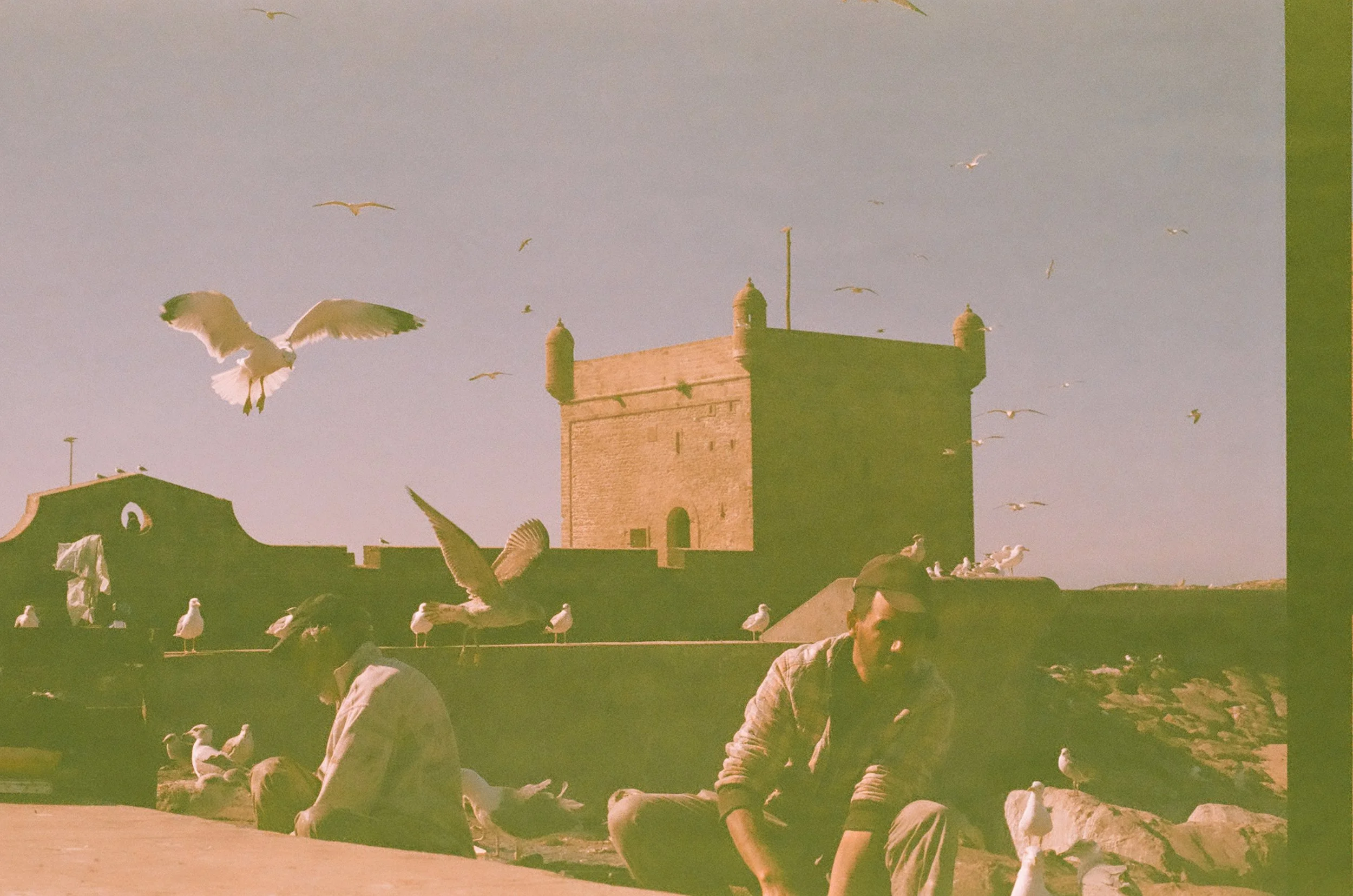 fishermen and seagulls in the port 