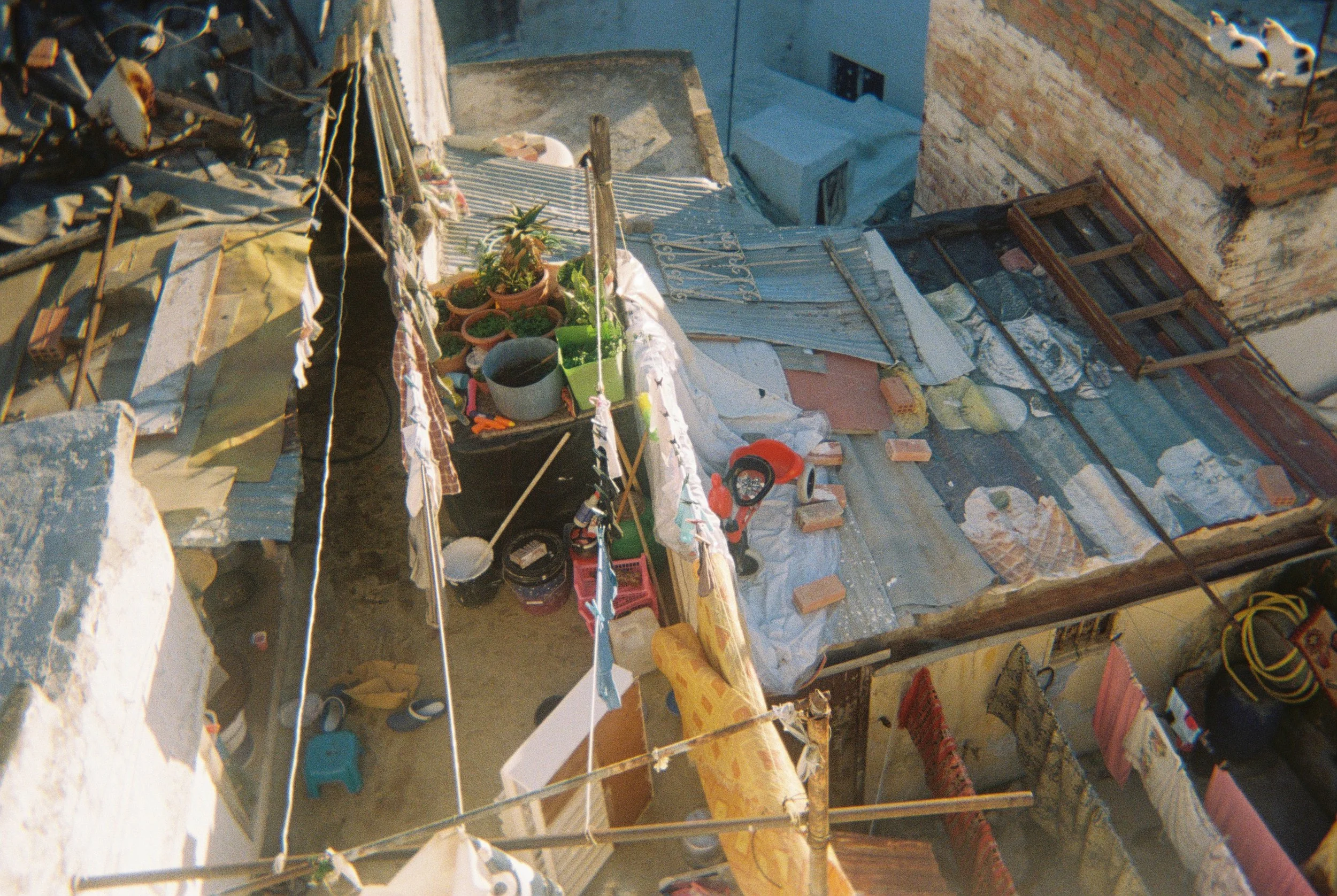 rooftop beneath us in the Tangier hostel. 