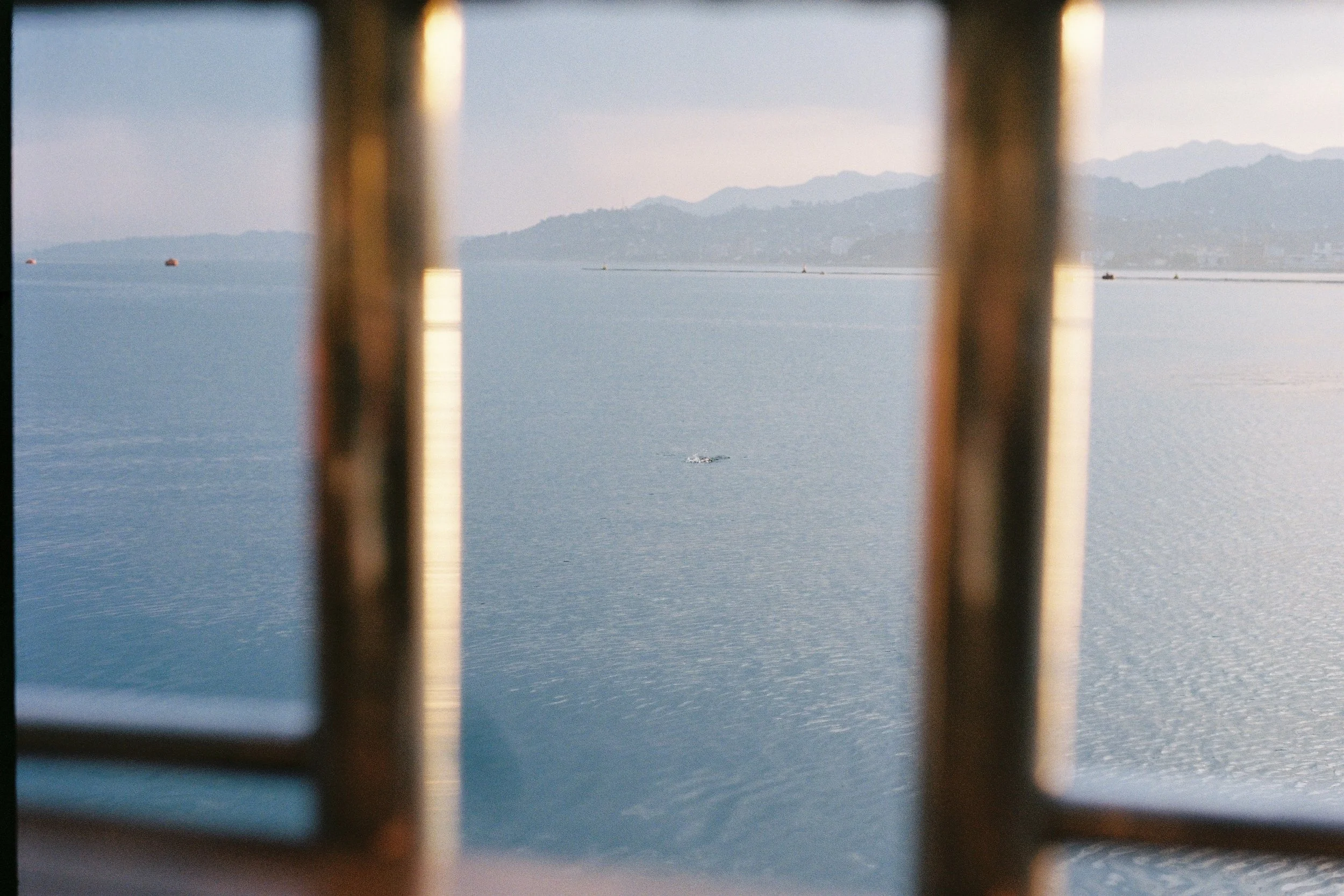We wait at the closed restaurant by the sea and I take photos to both kill the time and keep it forever. There's a little sea duck diving in and out of the water, I wait until he swims between the frame of bars and take his picture, but he is too fas