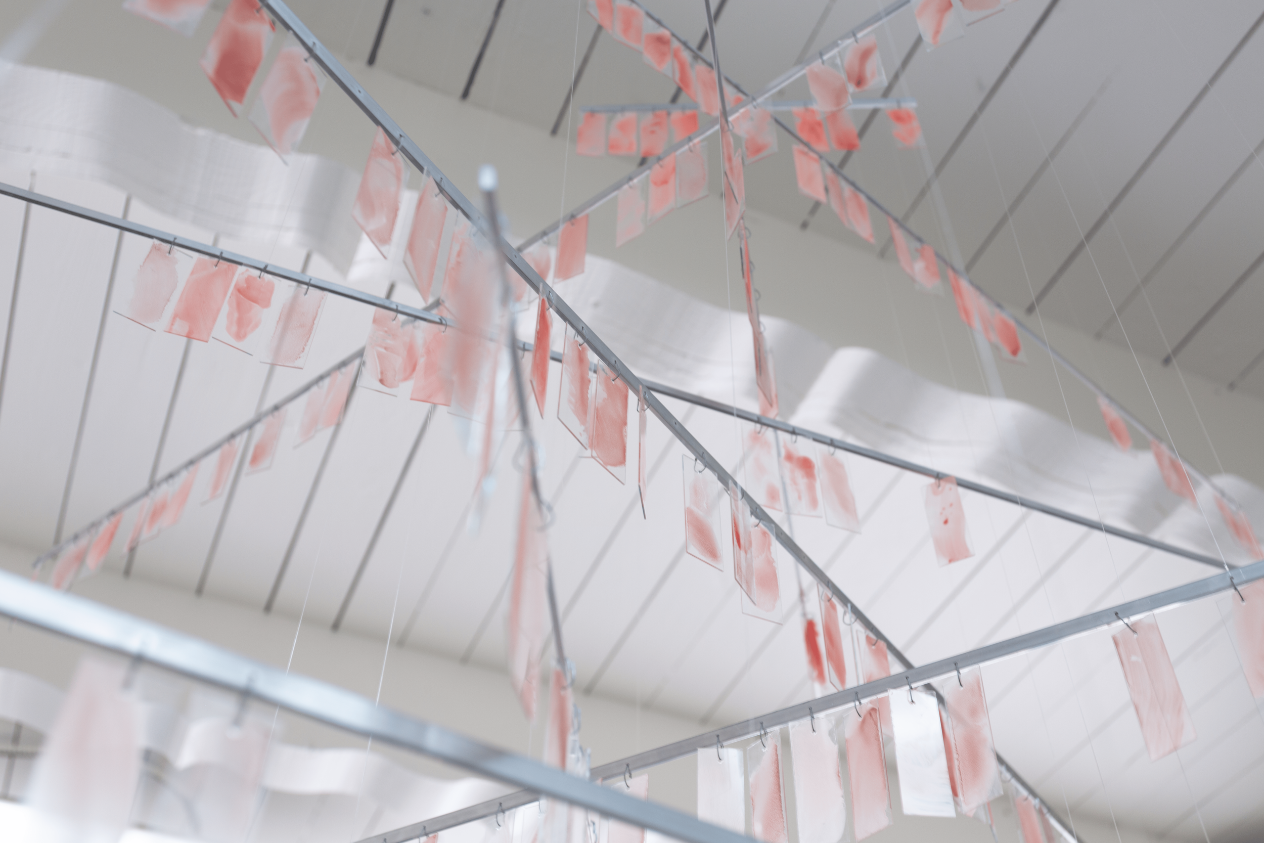 severin-hallauer-new-skies-induction-gallery-los-angeles-2026-installation-view-00051.png