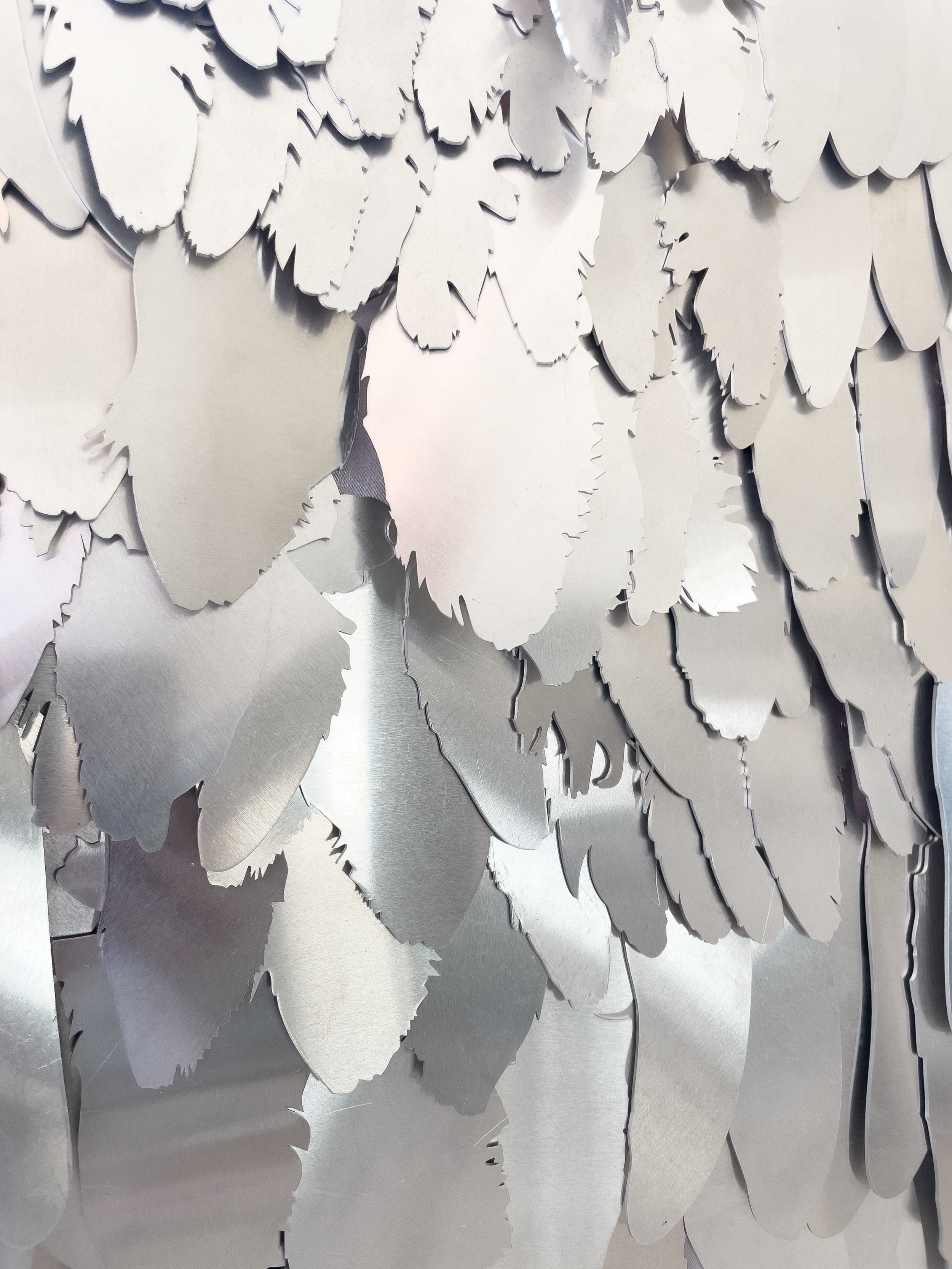  Severin Hallauer Artist Art Feathers