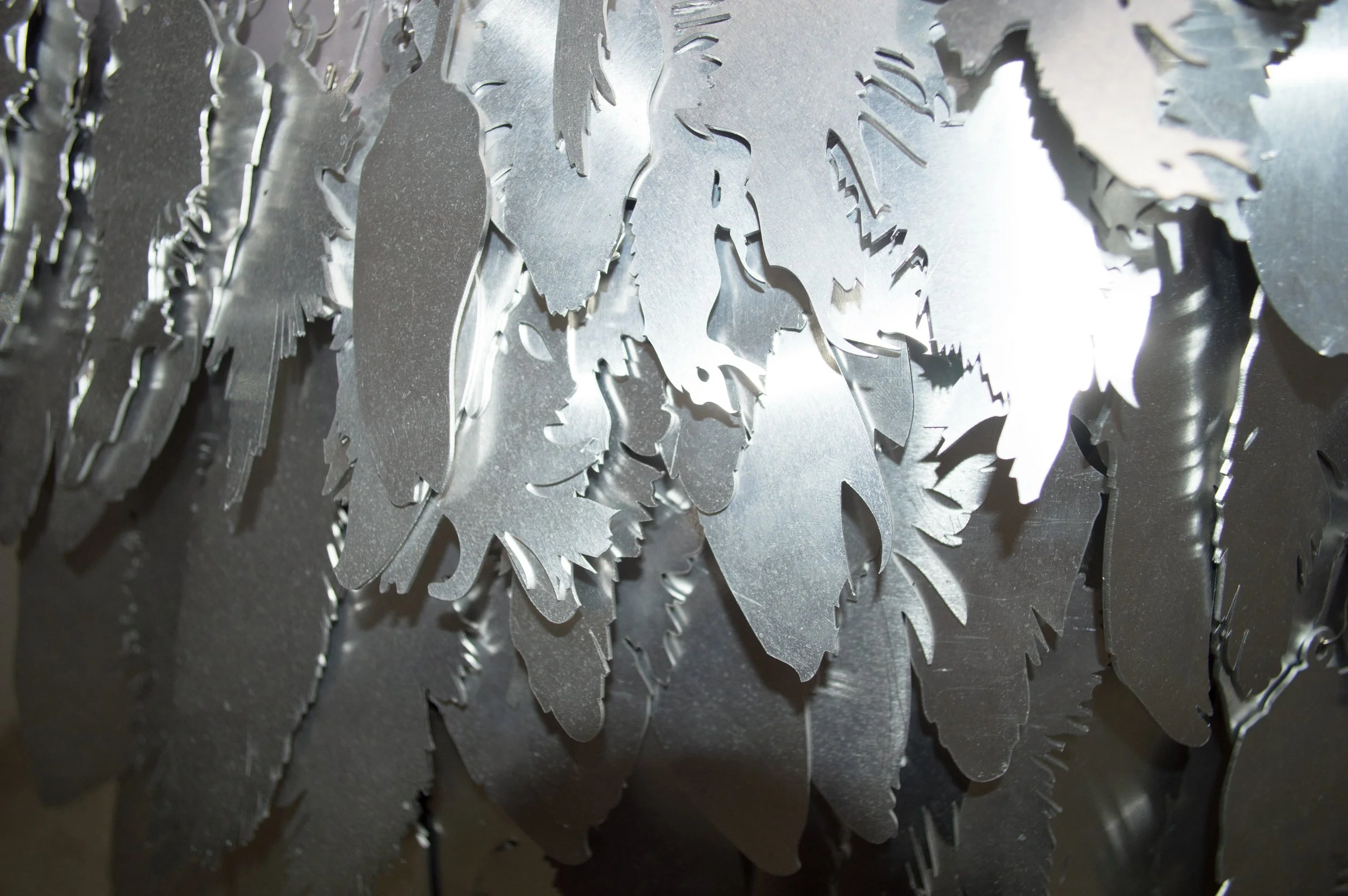 Installation view by Severin Hallauer, open studio during Art Week CDMX, Obrera, Mexico City, 2026.