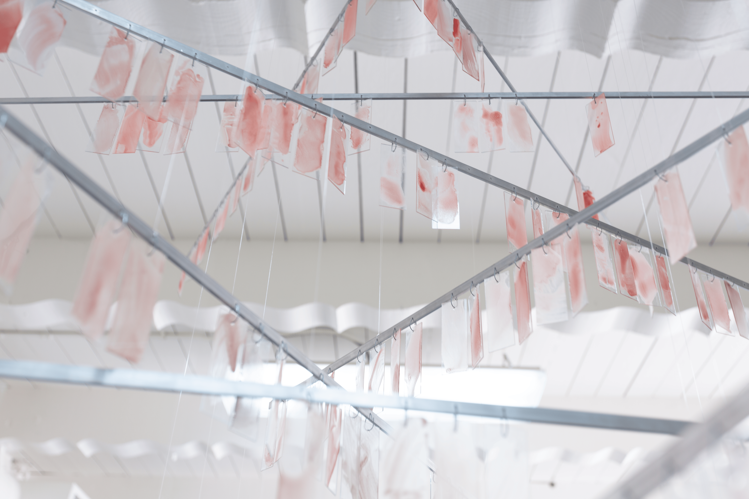 severin-hallauer-new-skies-induction-gallery-los-angeles-2026-installation-view-00050.png