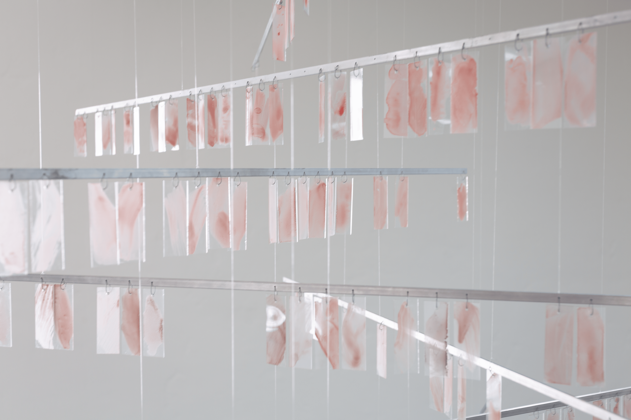 severin-hallauer-new-skies-induction-gallery-los-angeles-2026-installation-view-00046.png