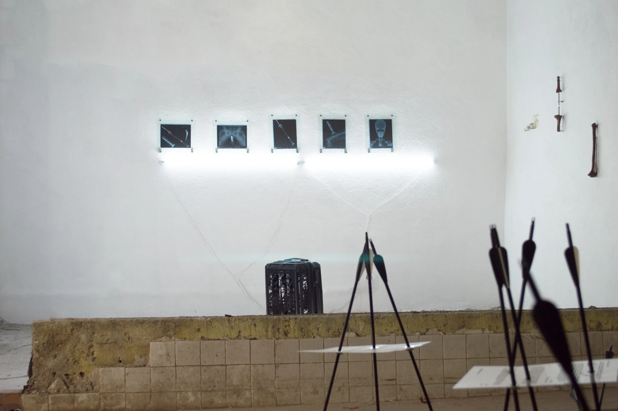 Installation view by Severin Hallauer from the open studio during Art Week CDMX, Obrera, Mexico City, 2026.