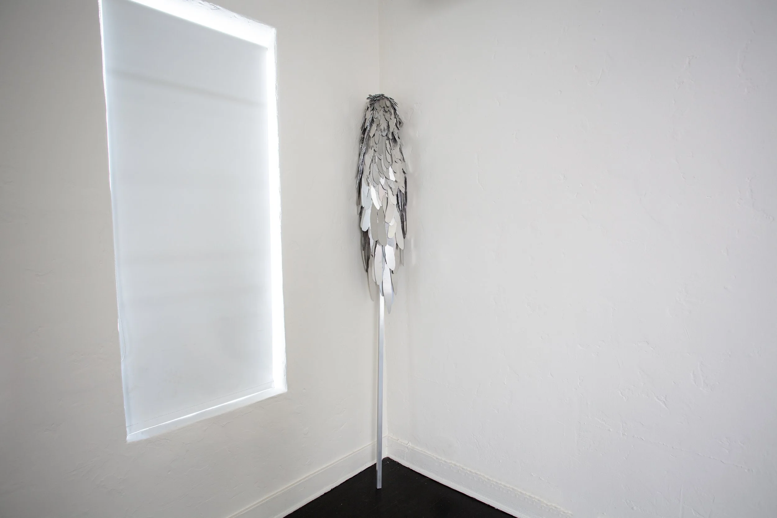 Installation view of Severin Hallauer’s New Skies at Induction Gallery, Granada Buildings, Los Angeles, 2026.