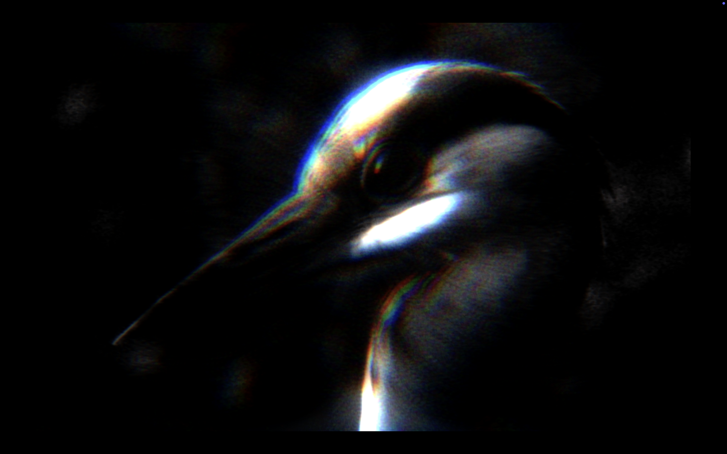 NEW SKIES, 2025
Severin Hallauer
video loop, 3:50 min

As a heron lifts off to leave behind the places that begin to grow cold, striving to survive, it turns into an airplane — a parallel departure, timeless and eternal, both bodies drawn toward new 