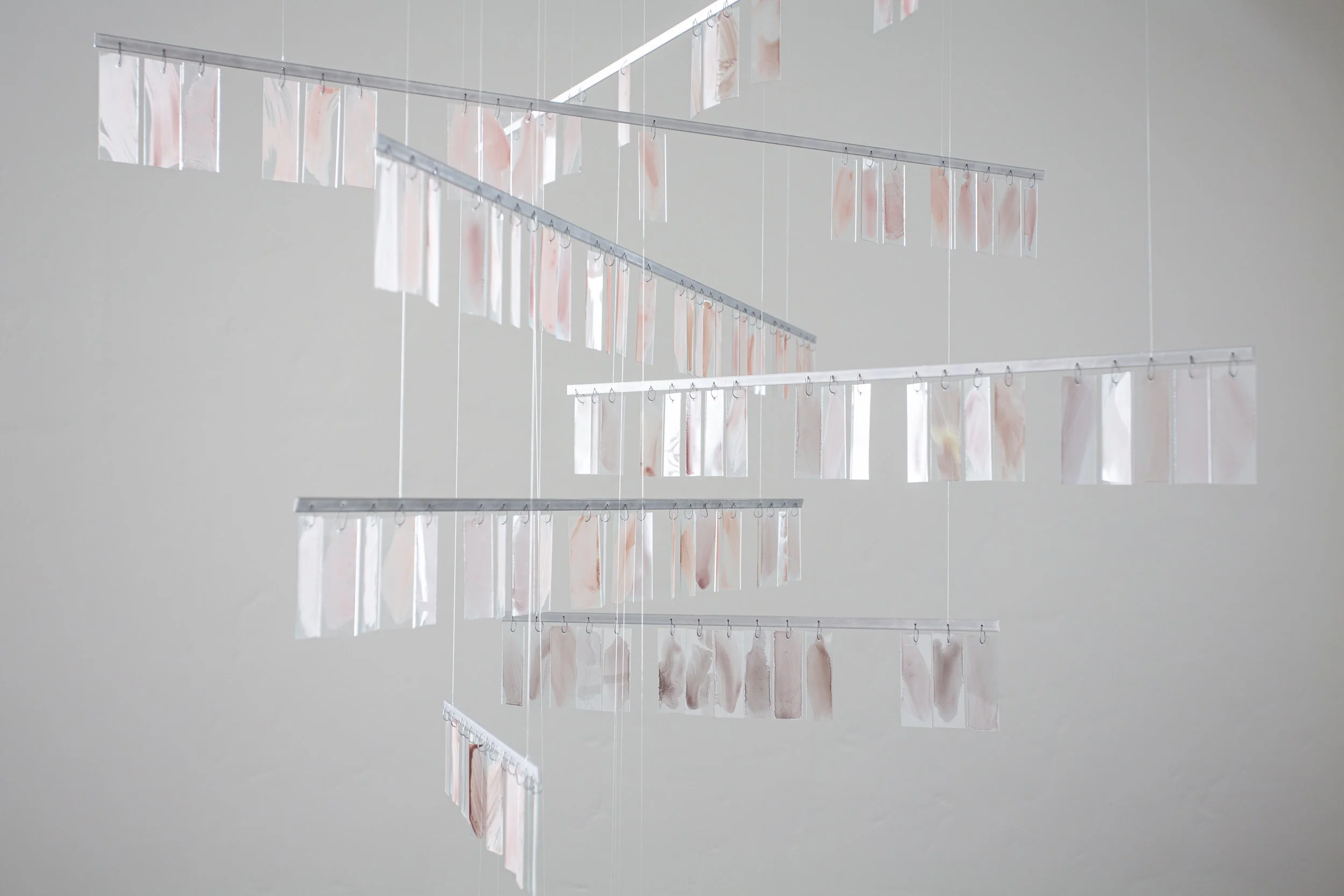 Installation view of Severin Hallauer’s New Skies at Induction Gallery, Granada Buildings, Los Angeles, 2026.