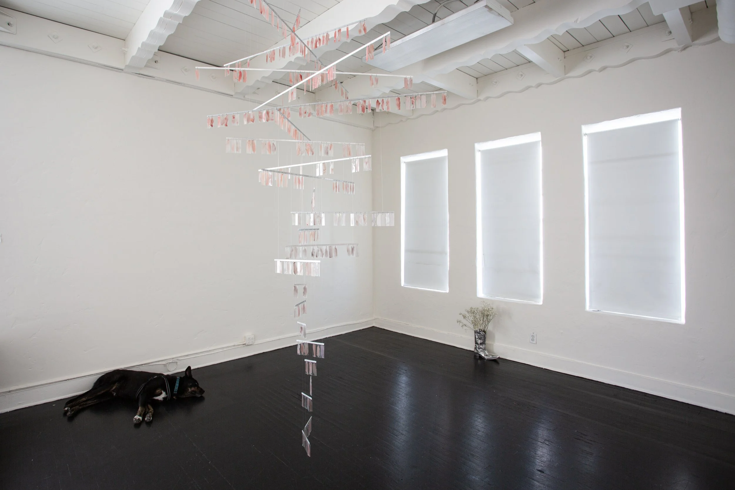 Installation view of Severin Hallauer’s New Skies at Induction Gallery, Granada Buildings, Los Angeles, 2026.