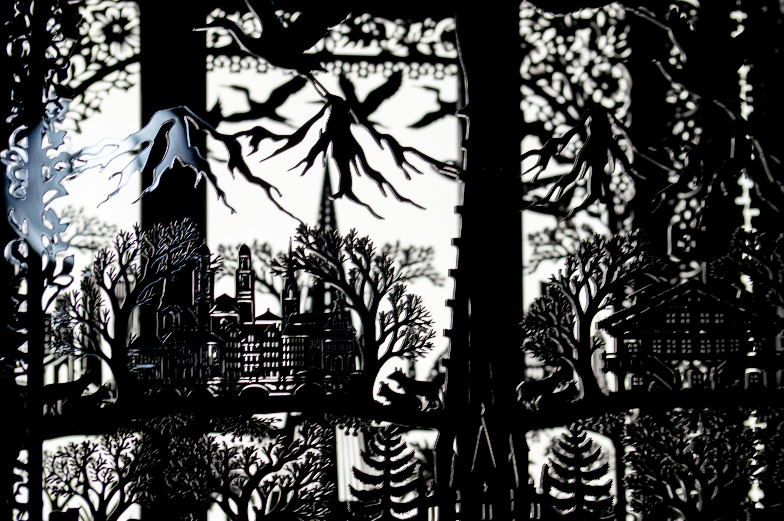 Carry On Hallauer Severin00002.png