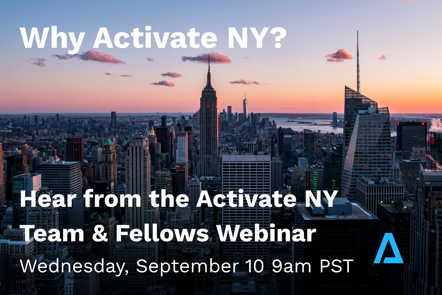 Why Activate NY? Hear from the Activate NY Team & Fellows
