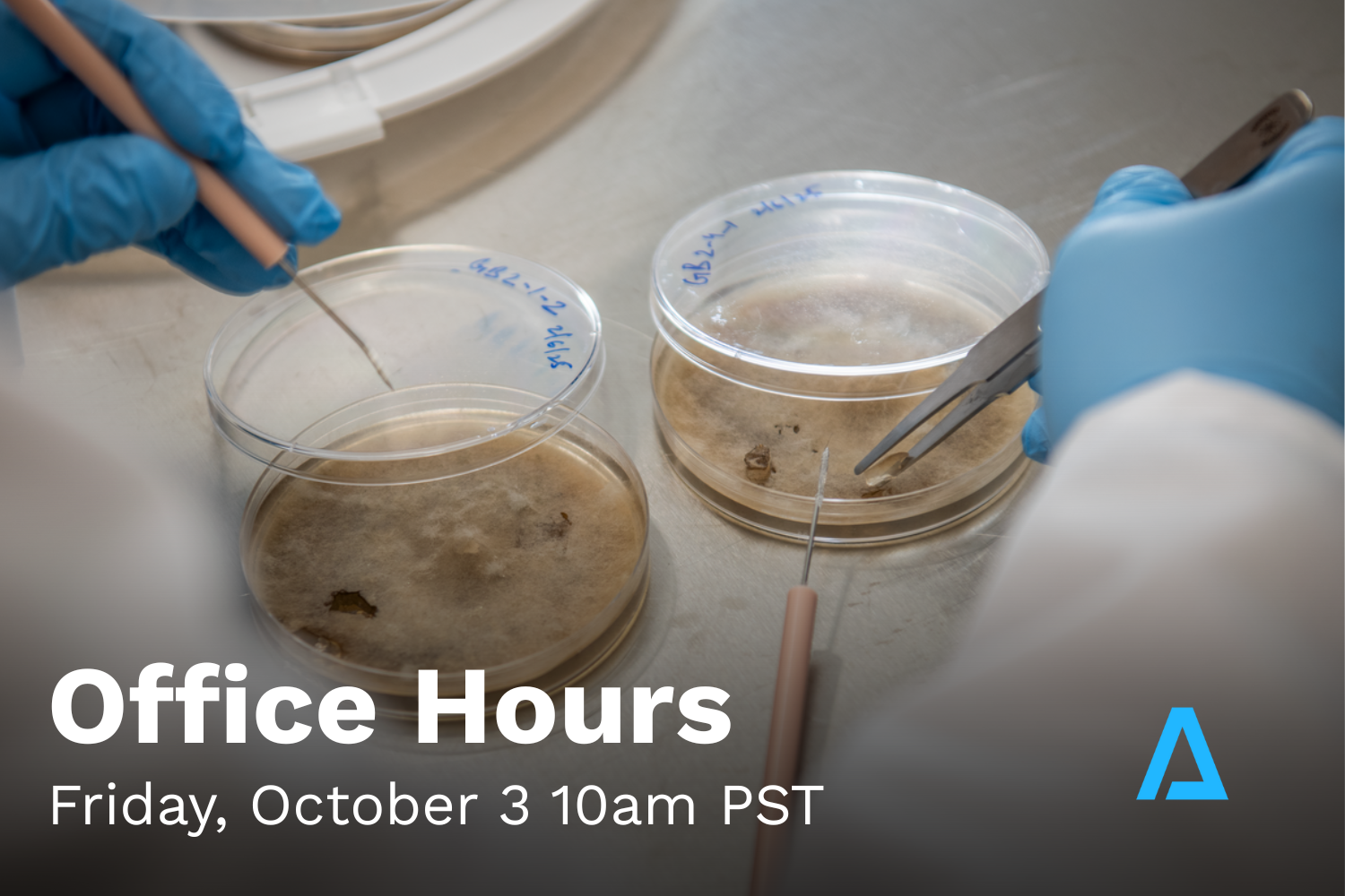Office Hours #2