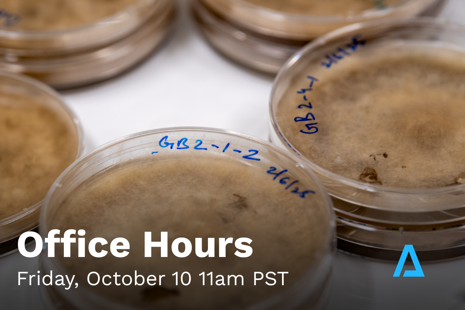 Office Hours #3