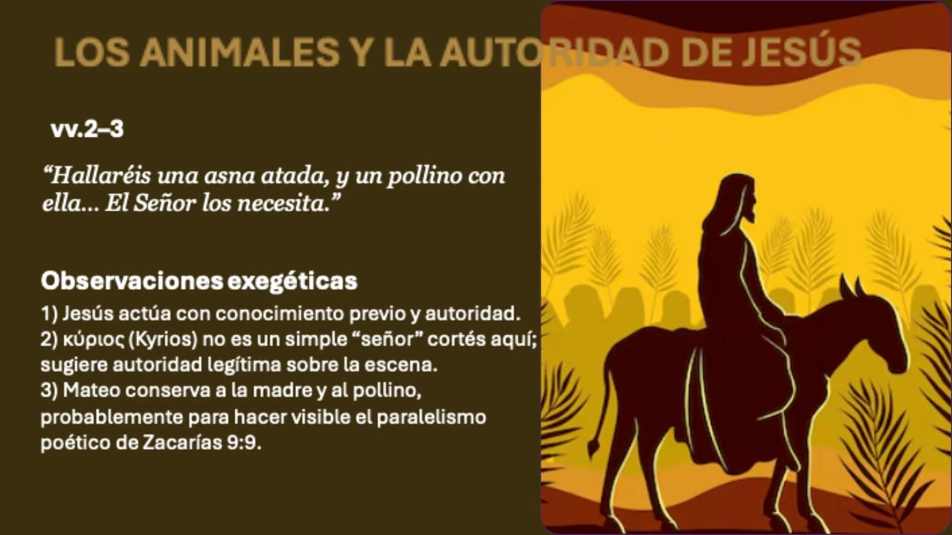Silhouette of Jesus riding a donkey in a field of plants and trees with a sunset background, with overlay text discussing animals and Jesus' authority.