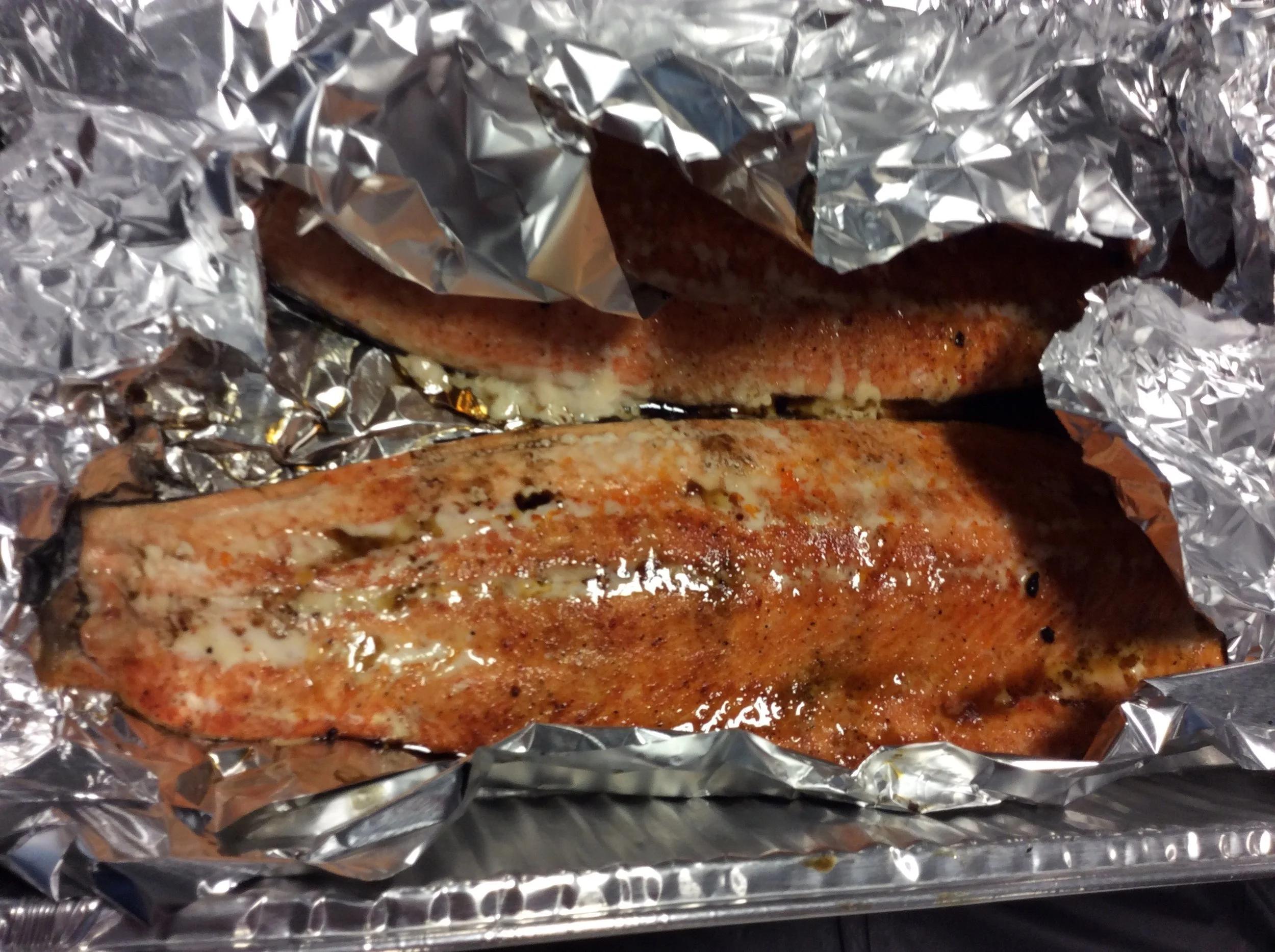 Salmon 1.JPG