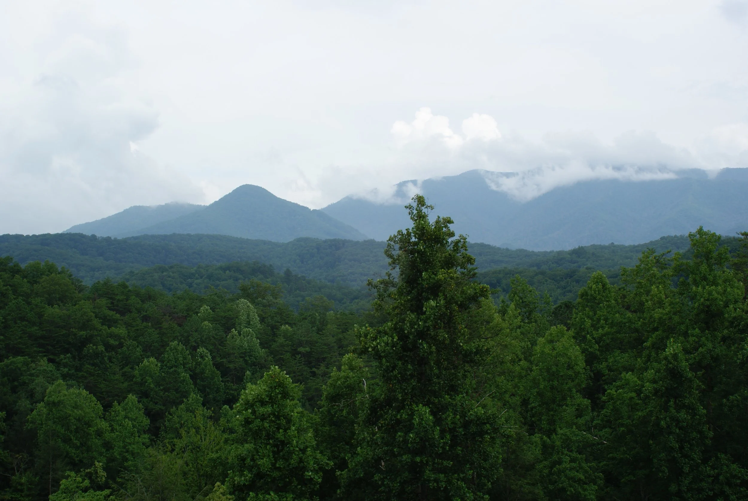 DSC02364.JPG