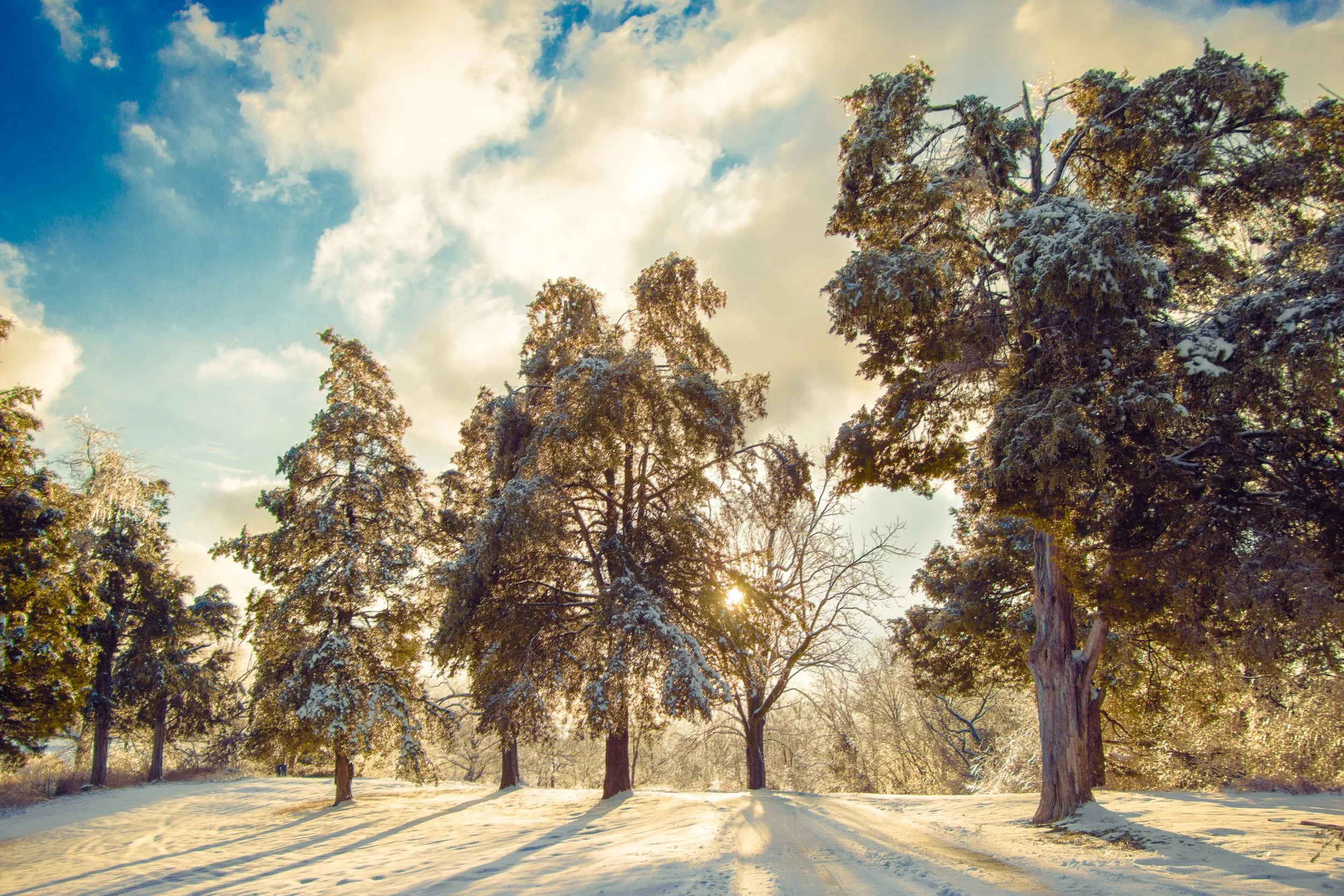 Fisherman_s Park Snow (no watermark)-.jpg