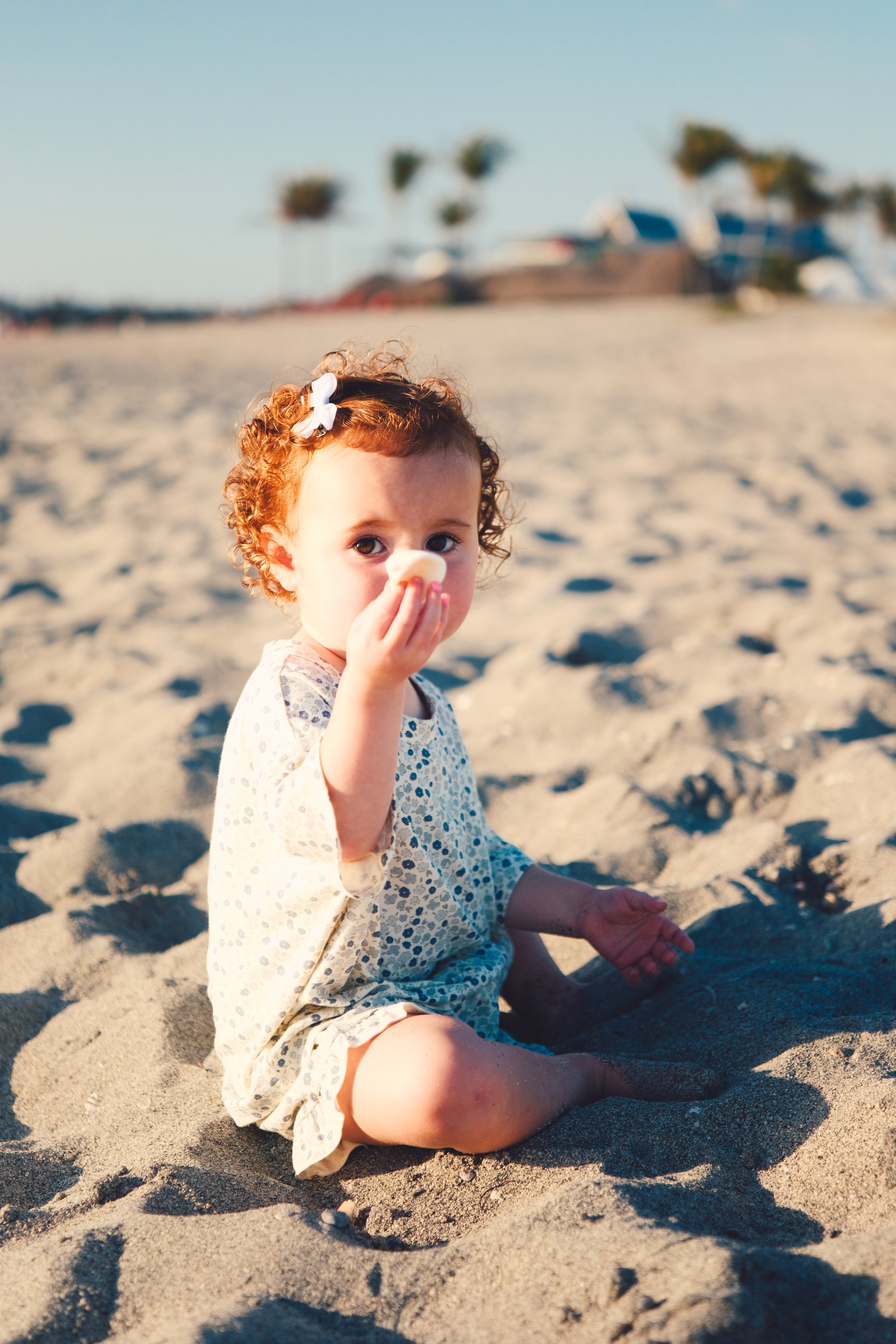 toddler-beach-portrait-venice-florida-shell-film-color-2.jpg