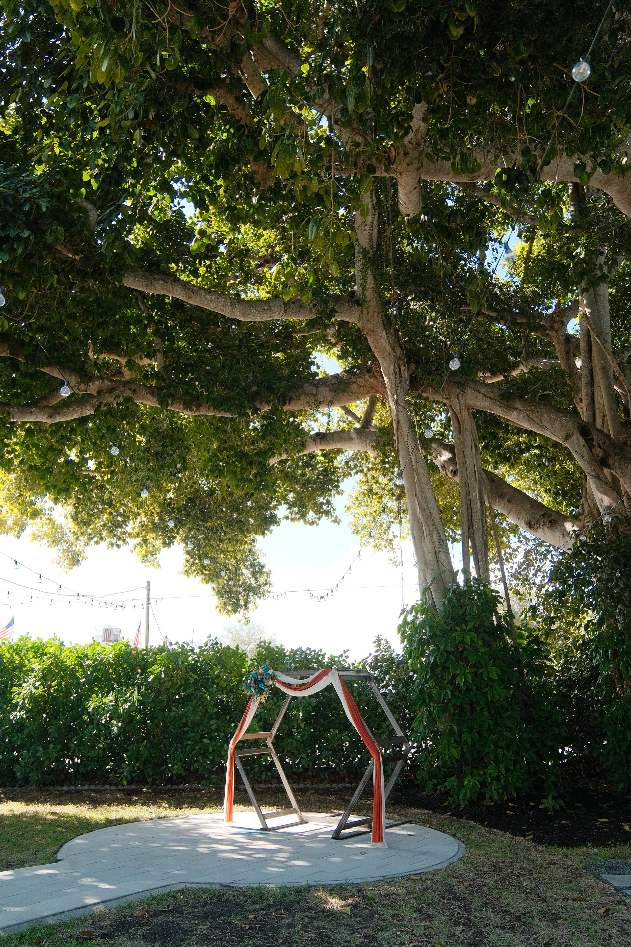 A large tree with a swing decorated with red, white, and blue ribbons and a flower arrangement underneath. String lights are hanging from the tree branches, and there are American flags in the background.