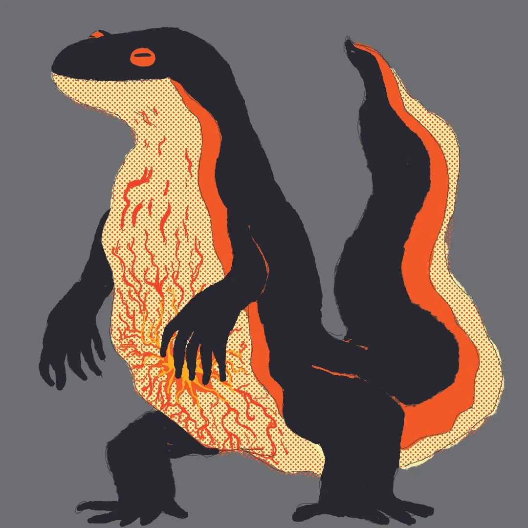 salamander.jpg