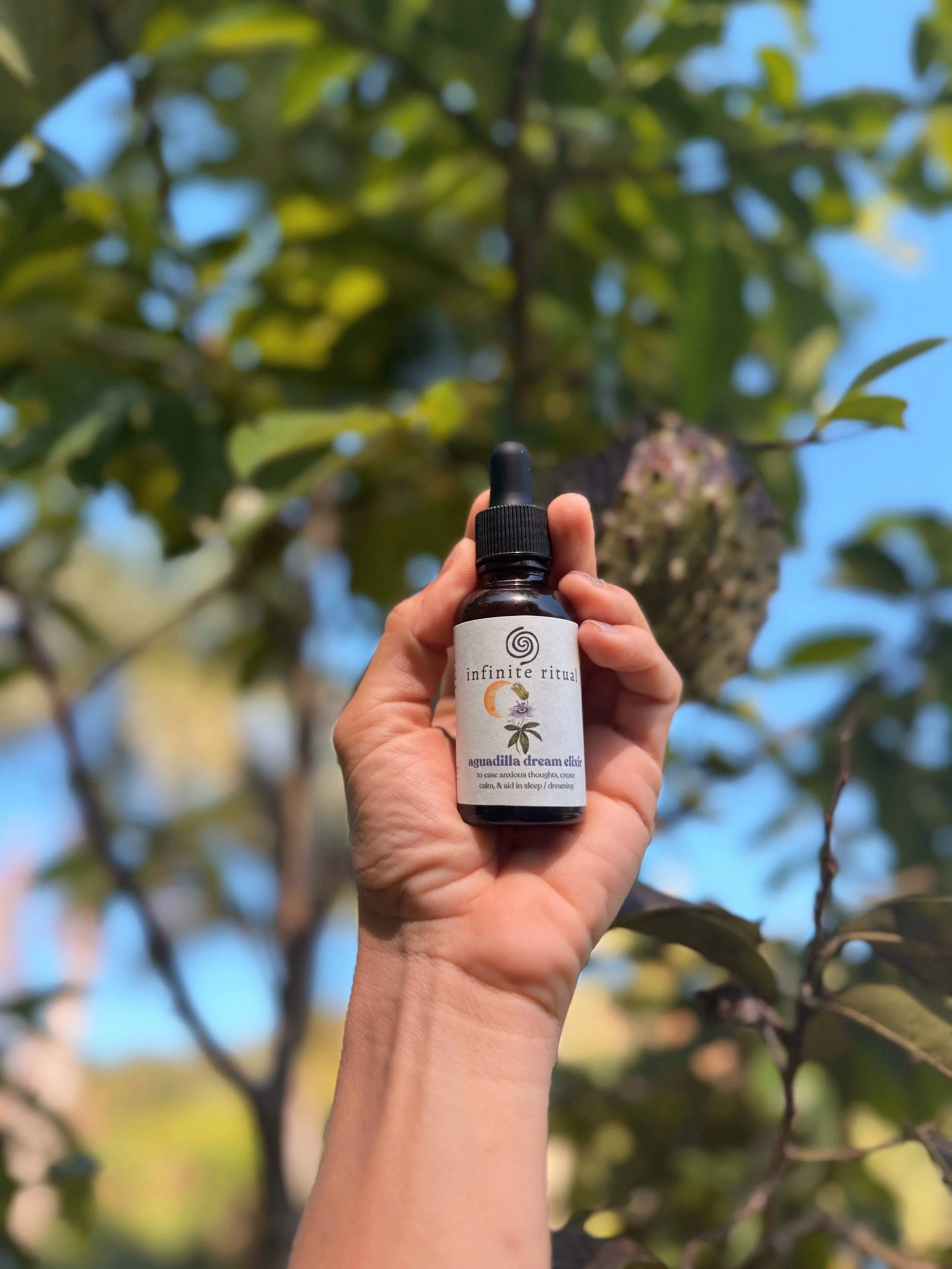 Aguadilla Dream Elixir