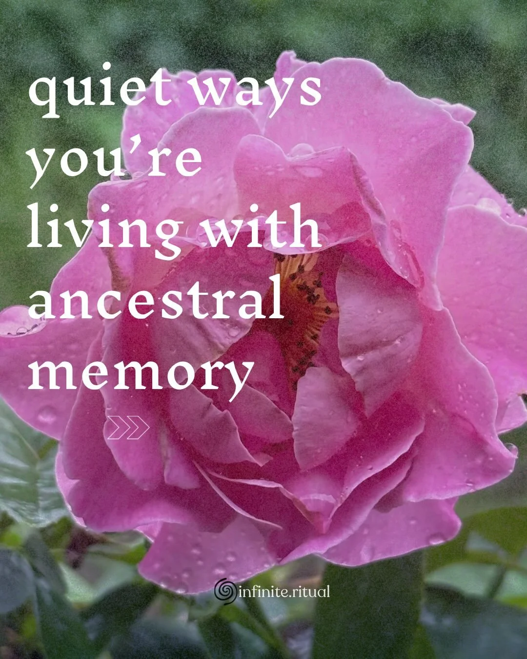ancestral memory is the understanding that time is not linear : that your bones and blood and body are made up of the living land &amp; ancestors who walked before you : 🌀 

&amp; to remember this, is to remember that not everything is yours to carr