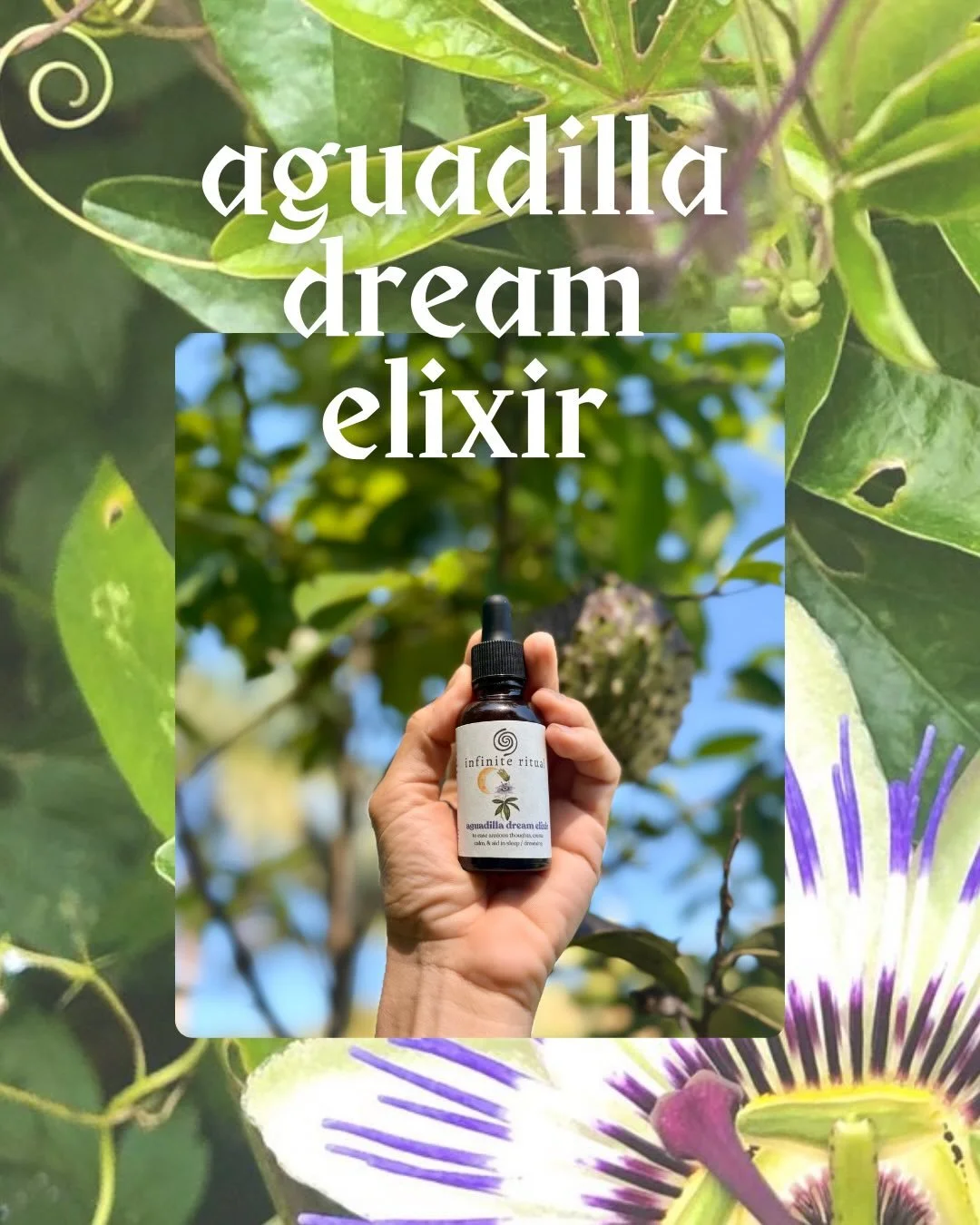 🇵🇷 con mucho amor, traigo medicinas de la tierra 🌿

Hi fam 👋🏽 new Herbal Shop drop includes : 

5 herbal elixirs and 1 tincture each formulated to support different systems of your body, so that you can feel an easing of tension, nourishment, &a