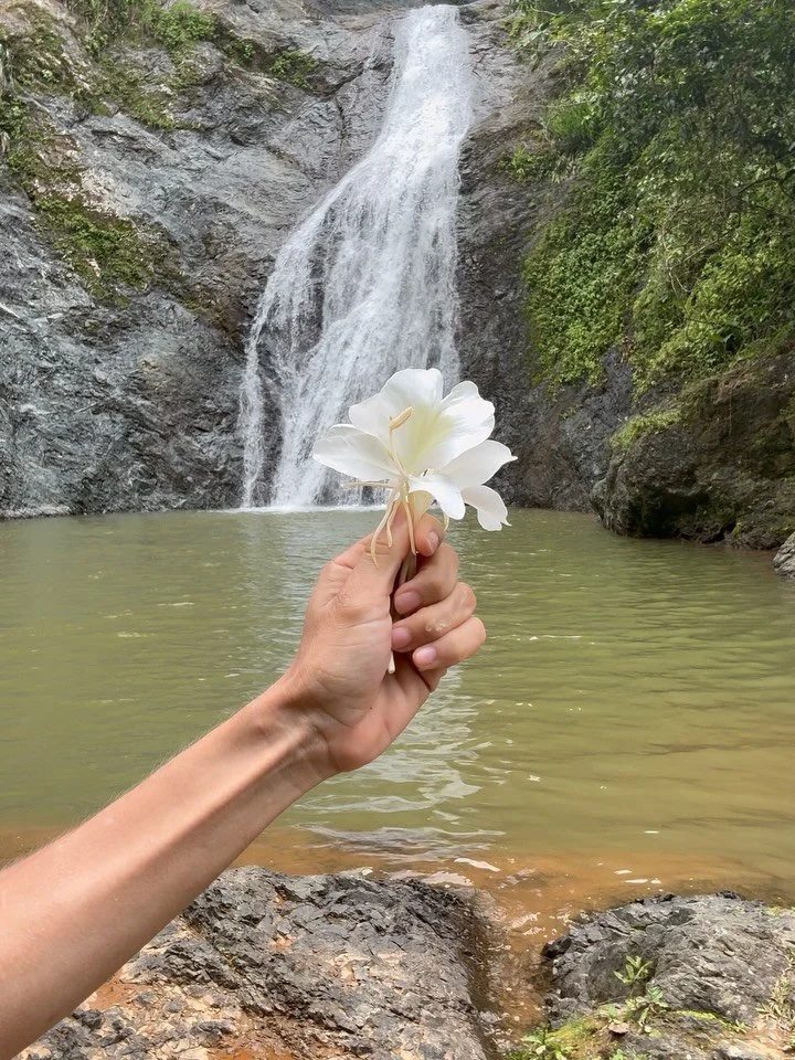 💧pensando en las aguas de Borik&eacute;n. La direcci&oacute;n de la oeste que gobierna las aguas: de la tierra y de nuestros cuerpos. 

acceso a aguas vivas: para contemplarlas como gu&iacute;as : que llevan memoria y sanaci&oacute;n : 

todas las a