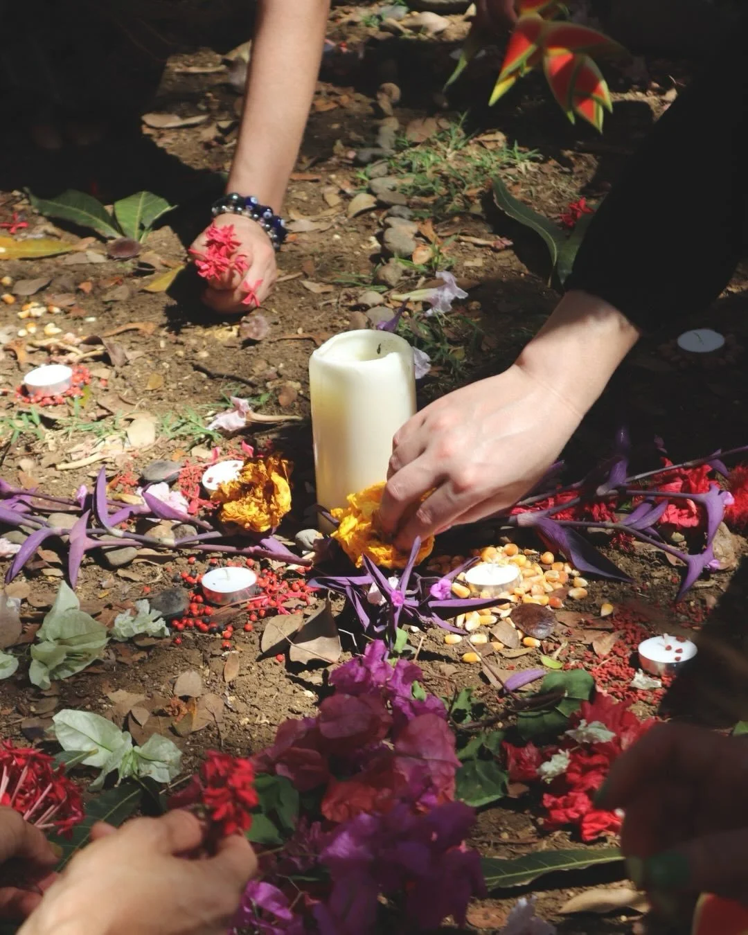 El Retiro de Flores 🌸🌺🇵🇷
After engaging in the 4 month long Caribe&ntilde;a Flower Essence Study, we gathered in the west of Borik&eacute;n to celebrate and integrate the closing of the journey. 

Each ceremony deepened a connection to self, sist