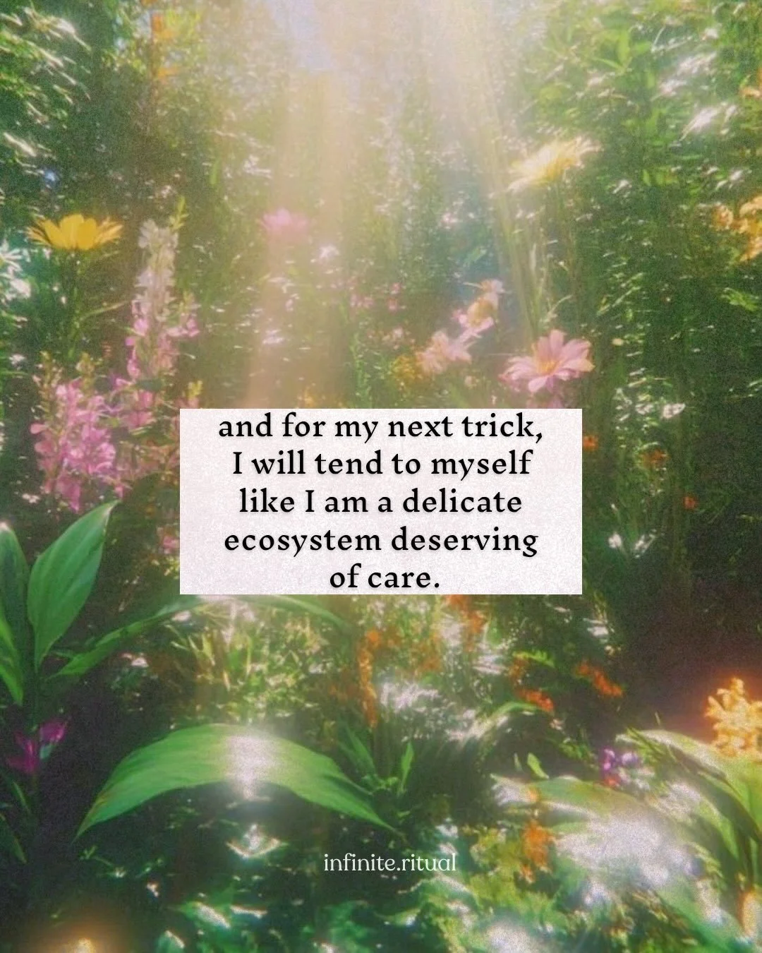 flower medicina in the form of essences have a way to communicate with you inwardly, vibrationally, helping you remember. 

they can expand the capacity to sense, intuit, and attune to truths that exist not just within you, but your lineage, too. 

i