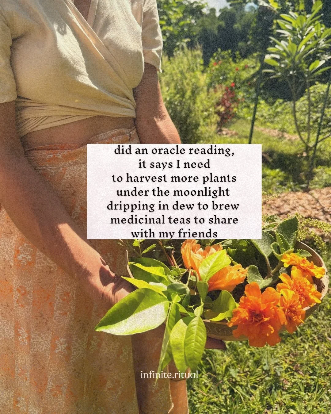 🌿The folkloric tradition in Puerto Rico is more than a simple practice : it is the wisdom of elders held in a scientific model of healing rooted in connection with the Earth and people. Somewhere along the way, this system has been stripped of its e