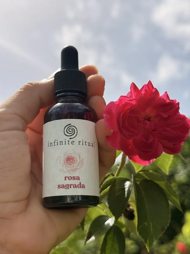 Rosa Sagrada