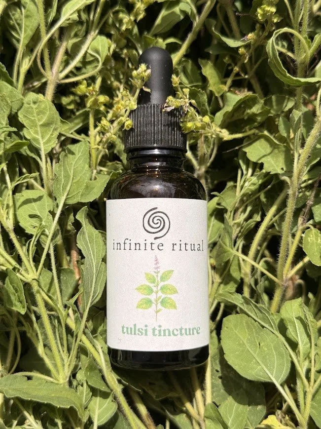 tulsi tincture.jpg