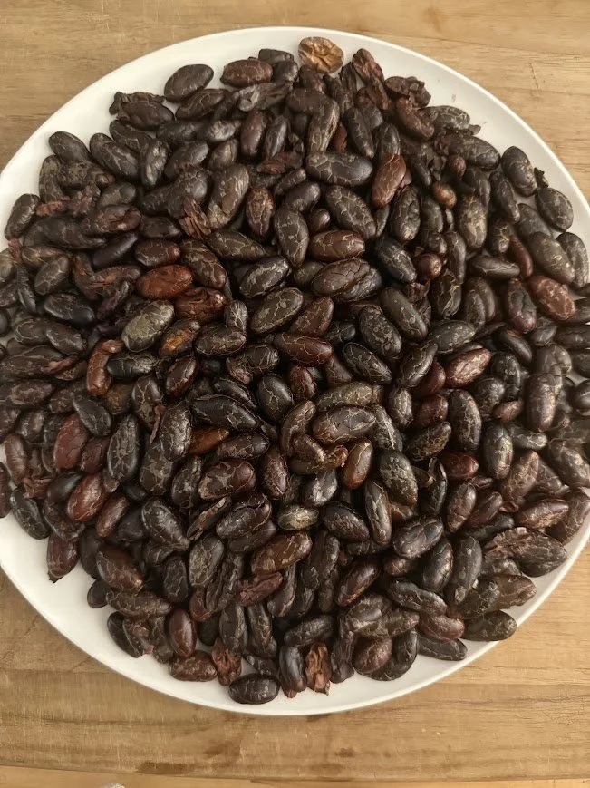 cacao beans.jpg