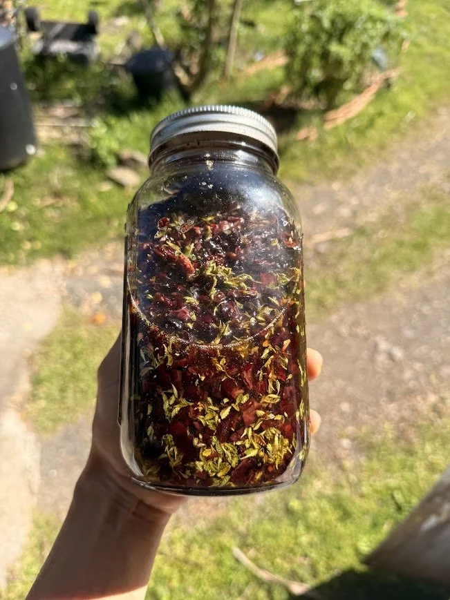 damiana elixir with cacao.jpg