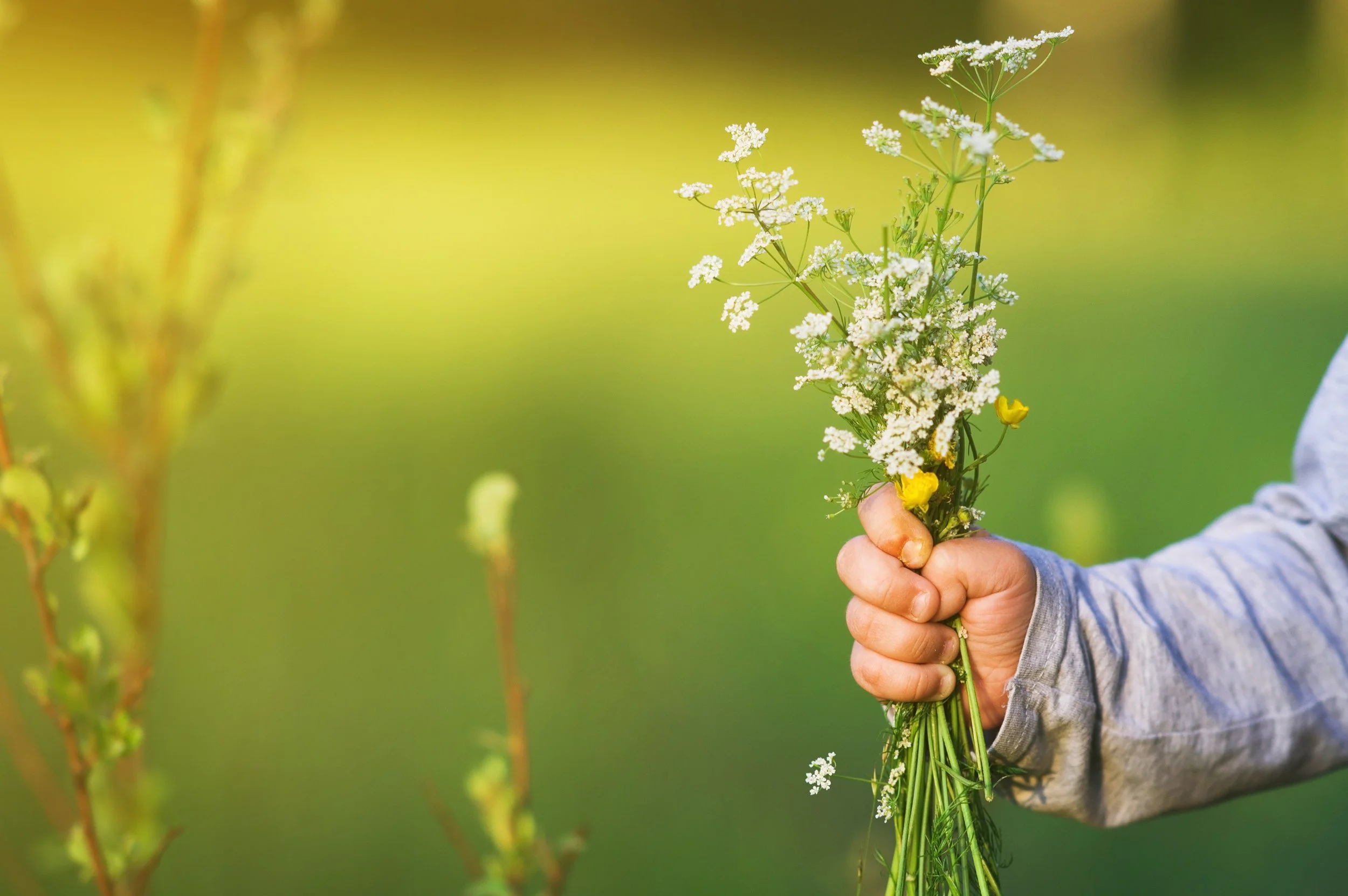 Grandchildren Can be a Hot Button: Advice From DILs to MILs