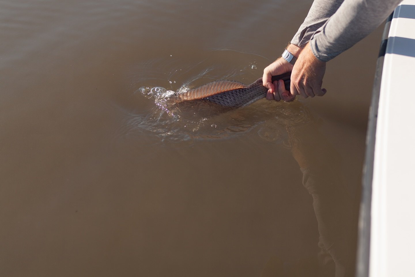 Until Next Time&hellip;
.
.
.
#talltidescharters #talltidestravels #redfish #orvisendorsed #savannahgeorgia 
📸 @jabberpics