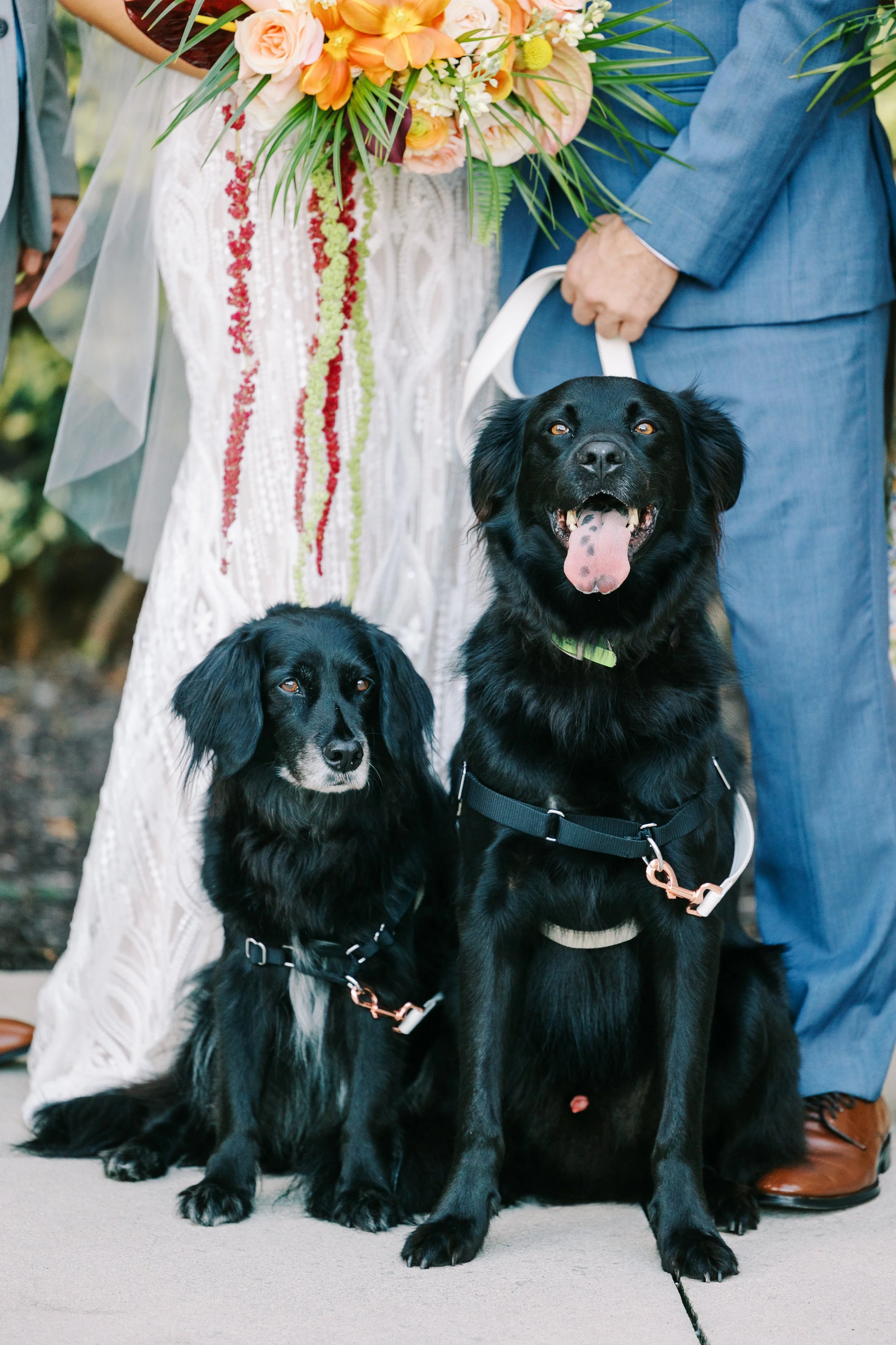 Saint Augustine Wedding Photographer- Ashley Dye Photography-SAMJOHN-6492.jpg