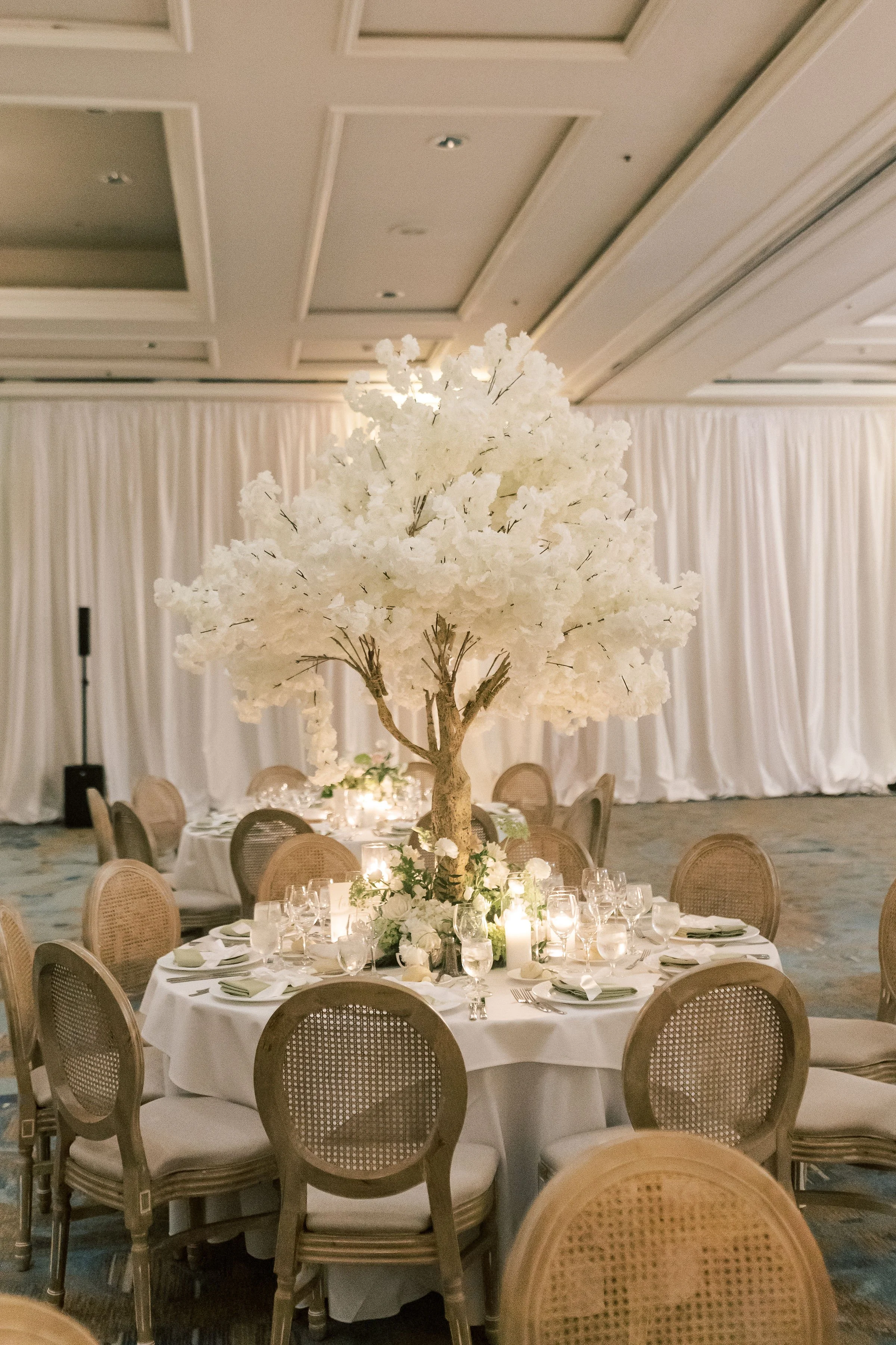 birnbachwedding-6974.jpg