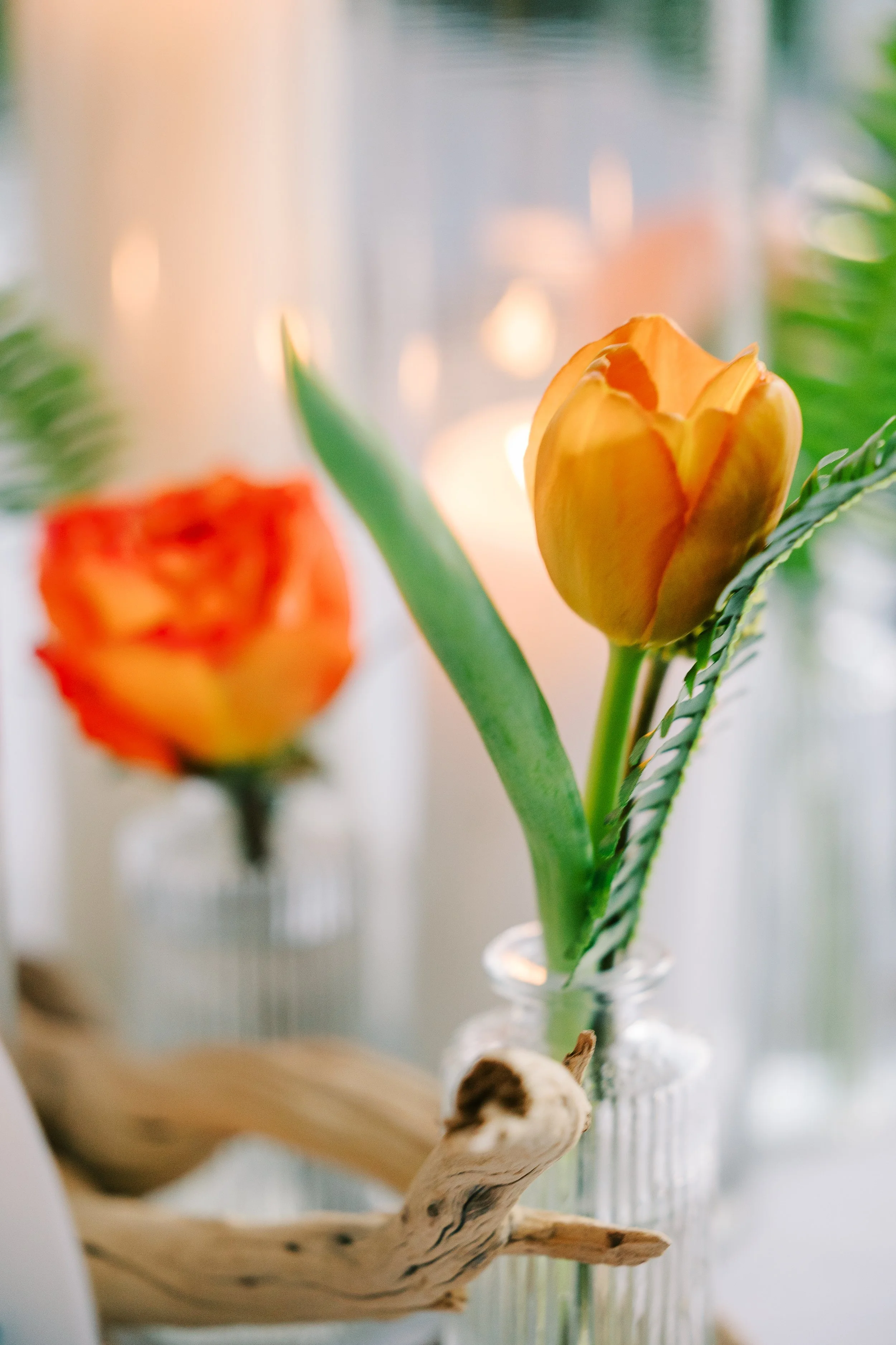 Saint Augustine Wedding Photographer- Ashley Dye Photography-SAMJOHN-6846.jpg