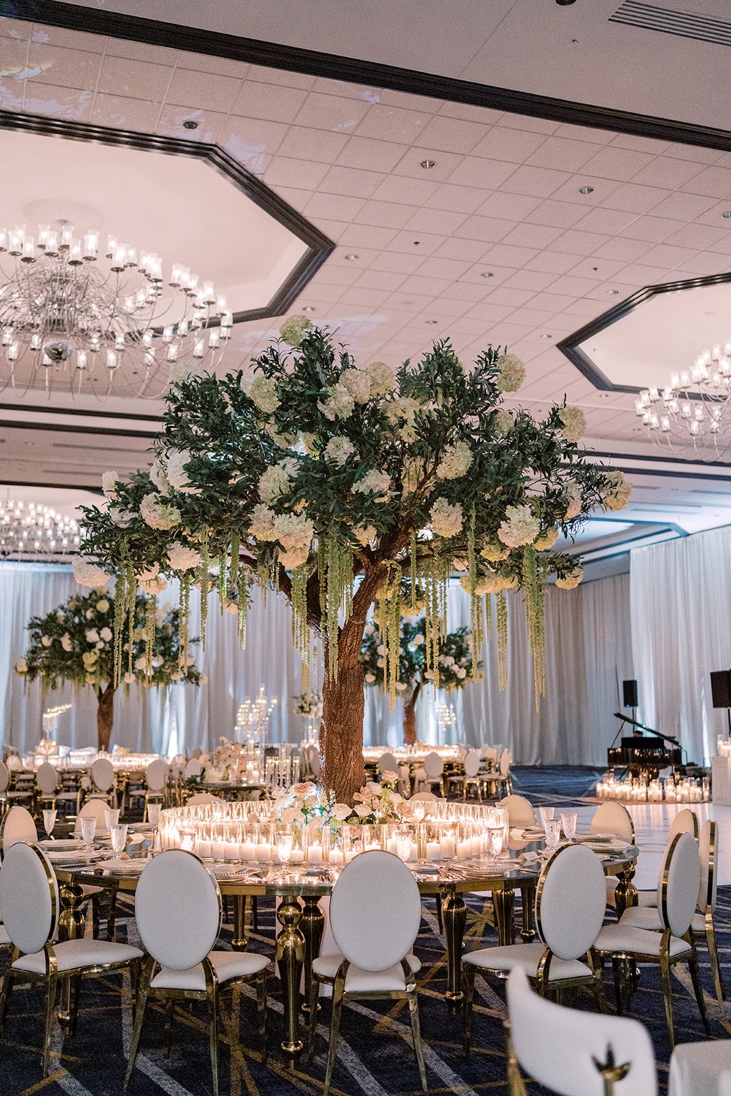 samantha & daniel wedding 1643.jpg