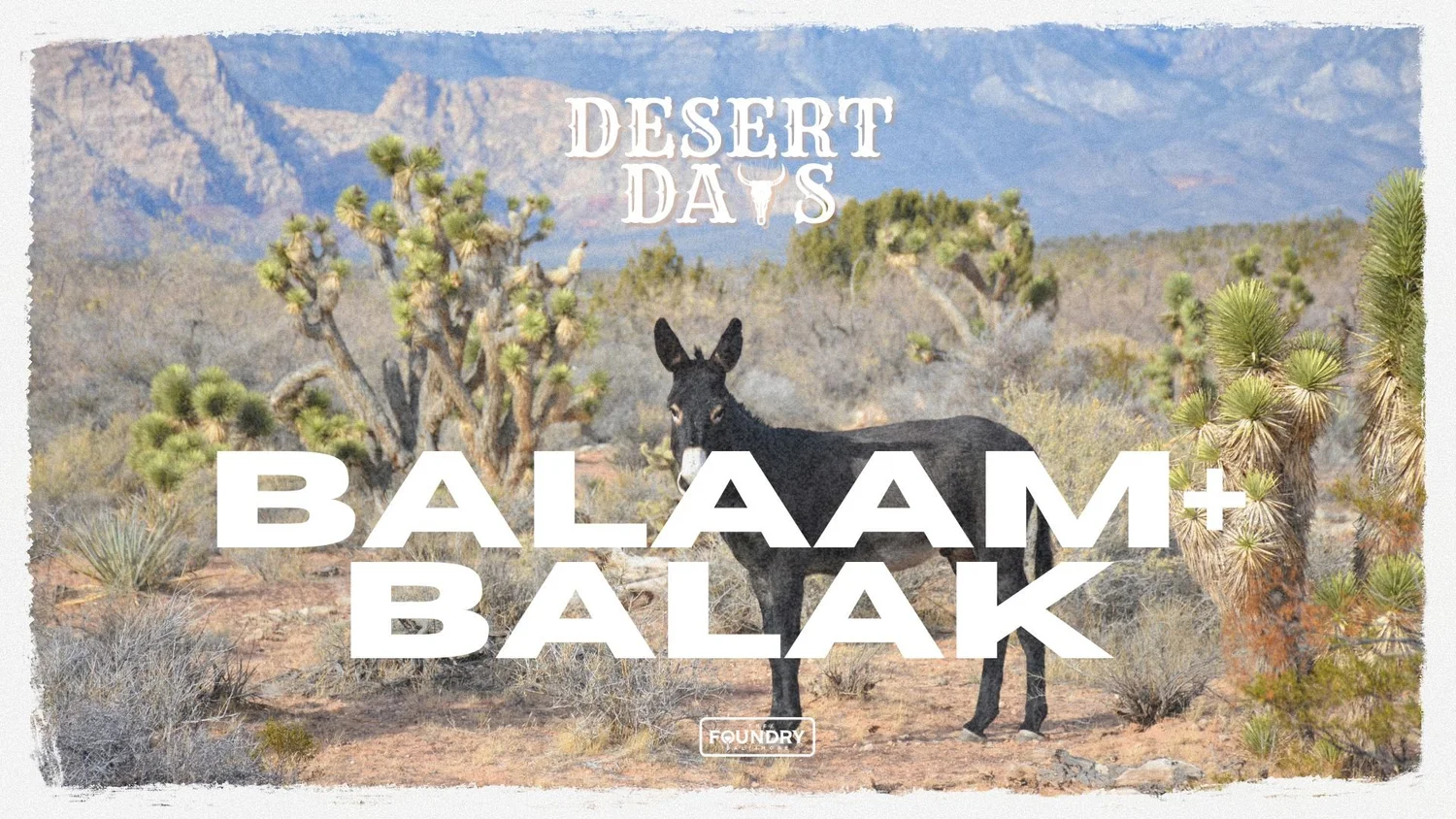 Desert Days: Balam + Balak episode artwork